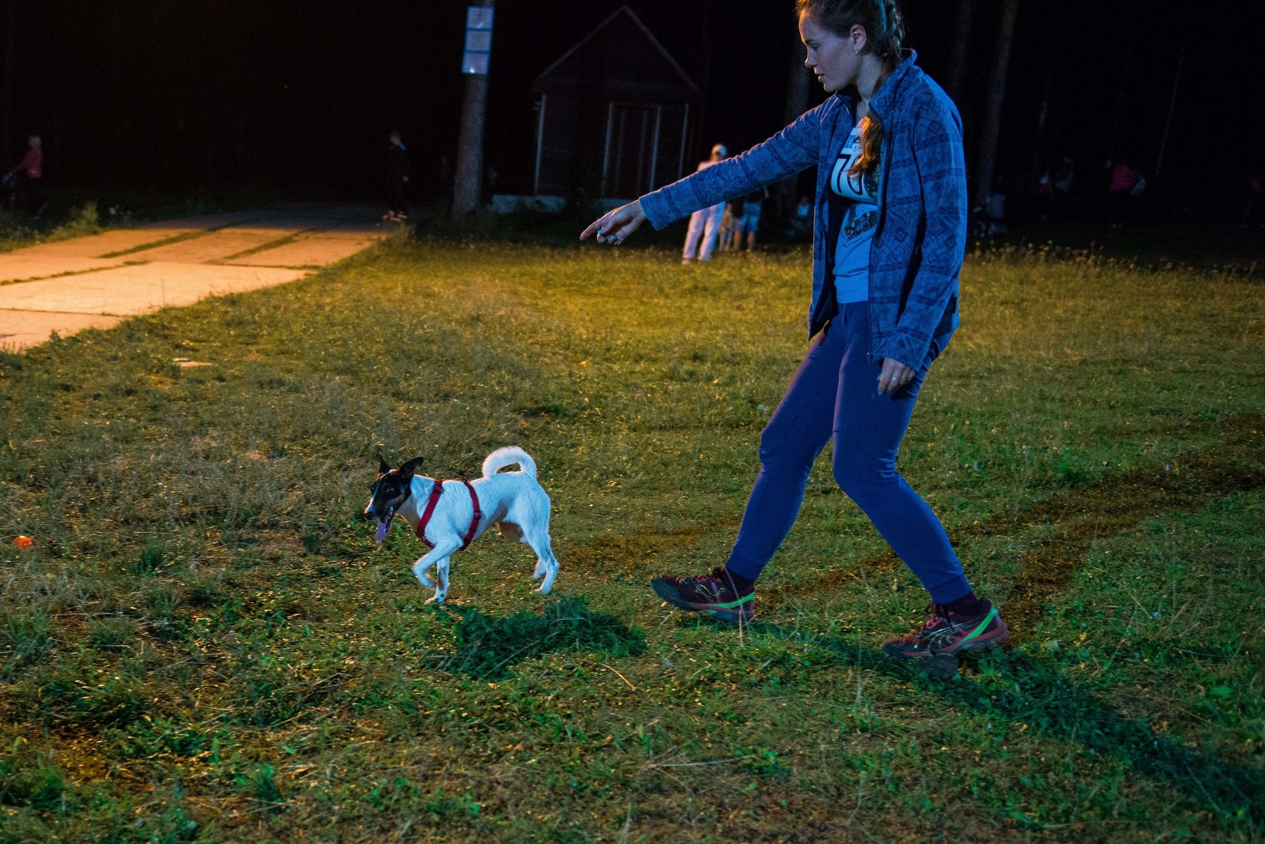 Дог-фестиваль 02.09.2017 Уктус Ночной след. Свадебный фотограф на Урале Виктор Соколов