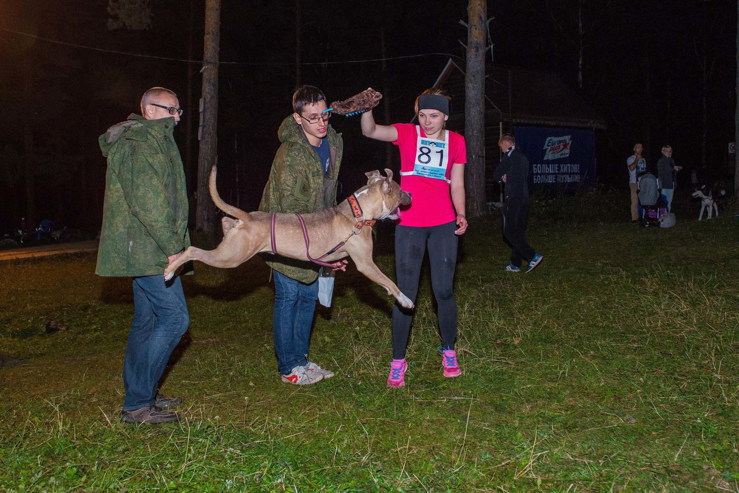 Дог-фестиваль 02.09.2017 Уктус Ночной след. Свадебный фотограф на Урале Виктор Соколов