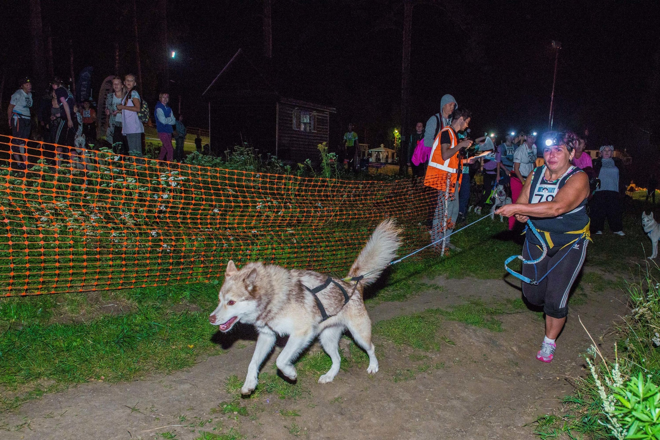Дог-фестиваль 02.09.2017 Уктус Ночной след. Свадебный фотограф на Урале Виктор Соколов