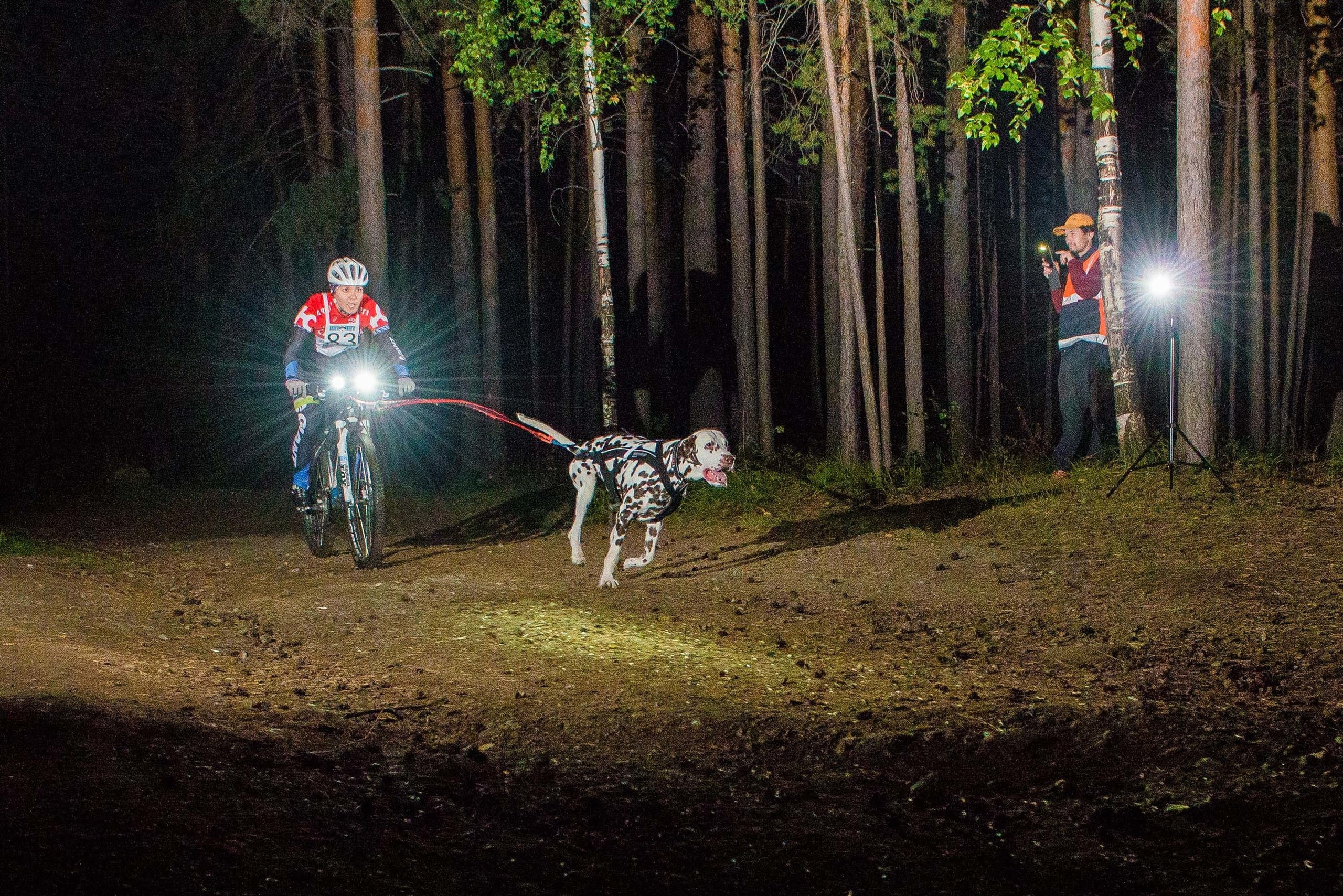 Дог-фестиваль 02.09.2017 Уктус Ночной след. Свадебный фотограф на Урале Виктор Соколов