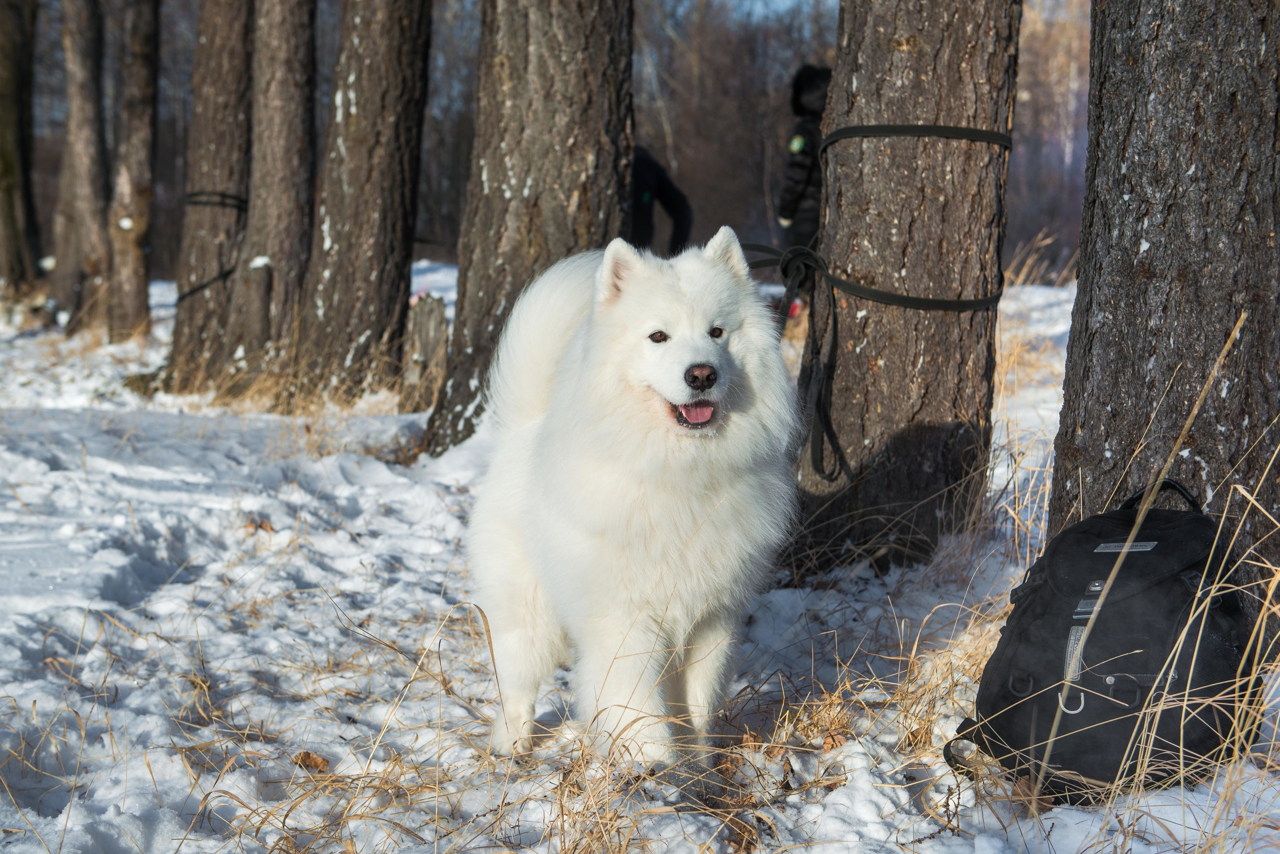 10 лет клубу Хэй-Хэй. Свадебный фотограф на Урале Виктор Соколов