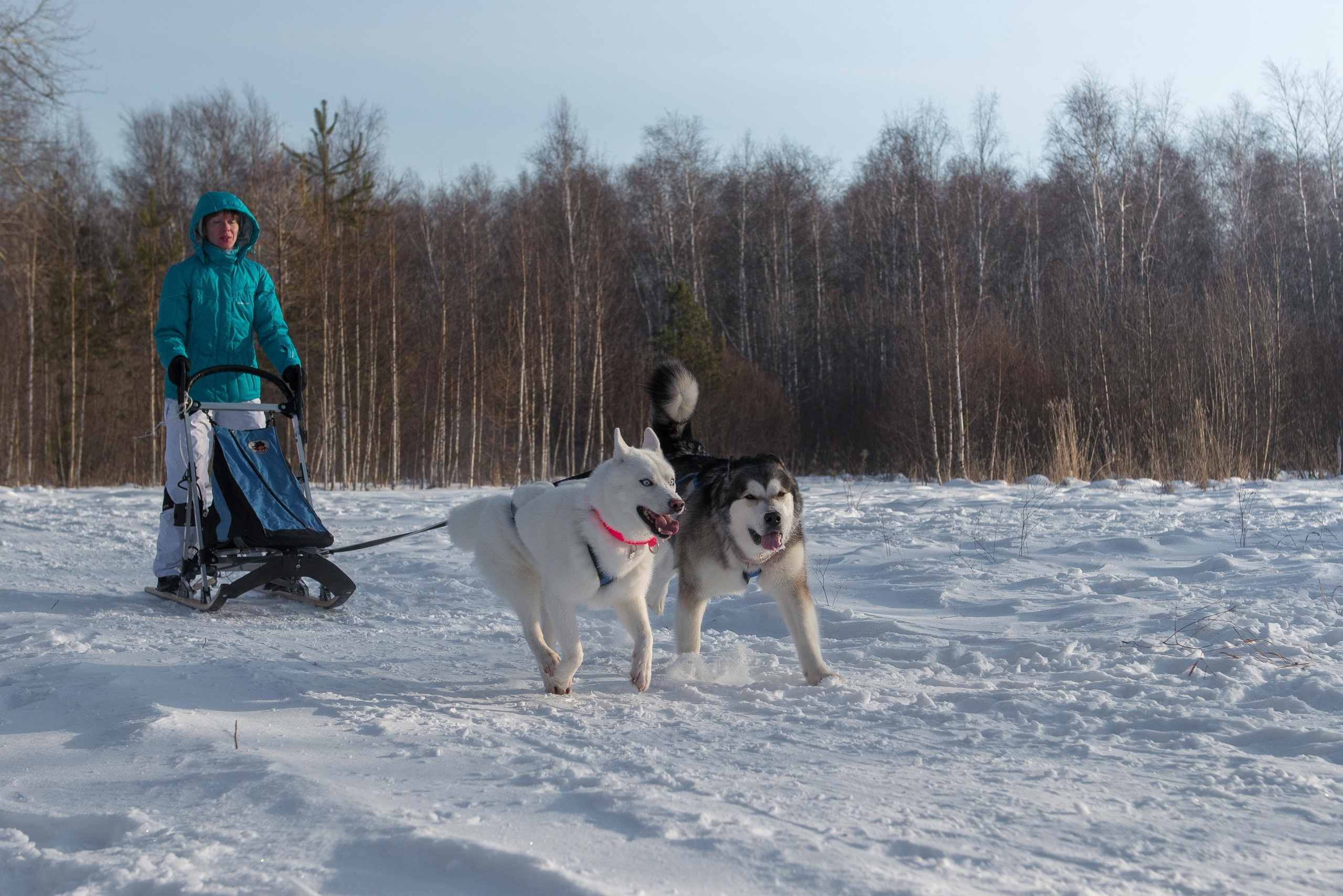10 лет клубу Хэй-Хэй. Свадебный фотограф на Урале Виктор Соколов