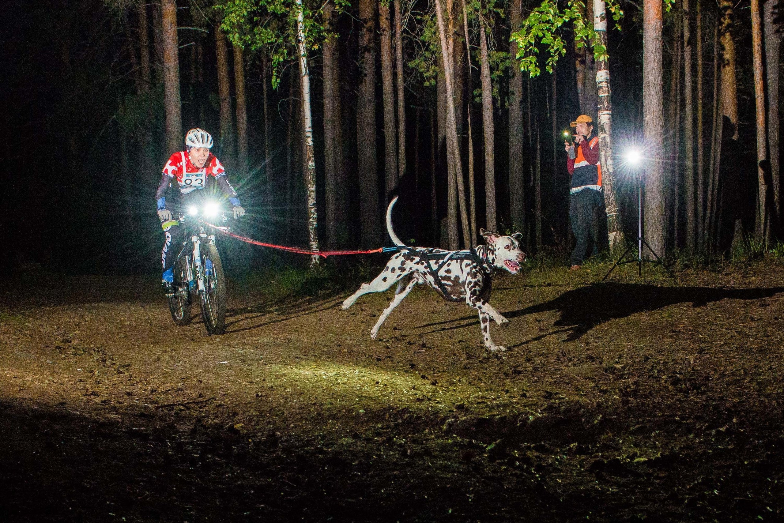 Дог-фестиваль 02.09.2017 Уктус Ночной след. Свадебный фотограф на Урале Виктор Соколов