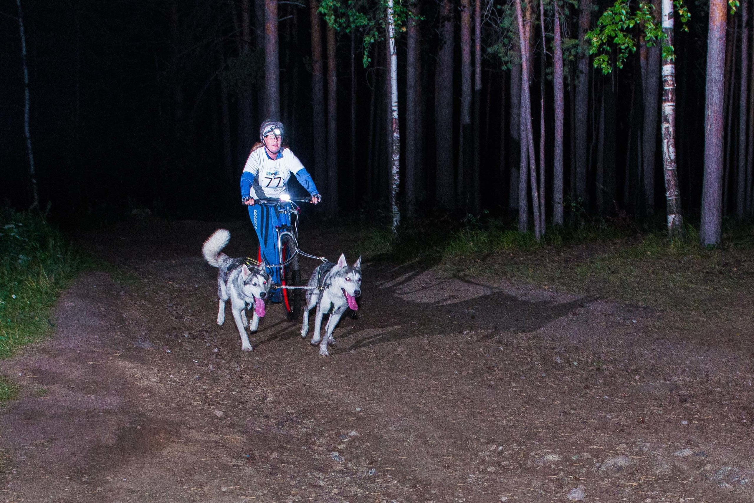 Дог-фестиваль 02.09.2017 Уктус Ночной след. Свадебный фотограф на Урале Виктор Соколов