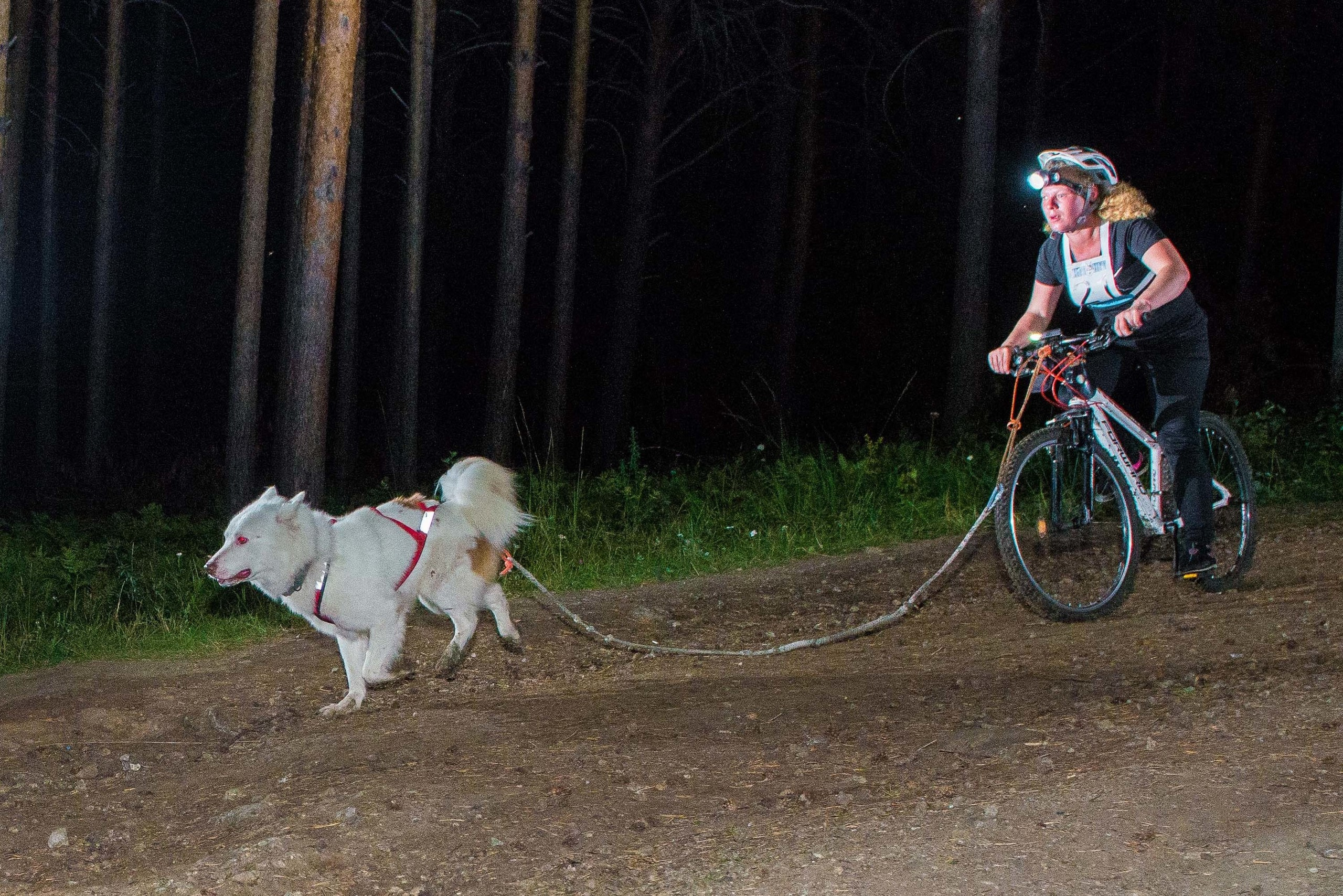 Дог-фестиваль 02.09.2017 Уктус Ночной след. Свадебный фотограф на Урале Виктор Соколов