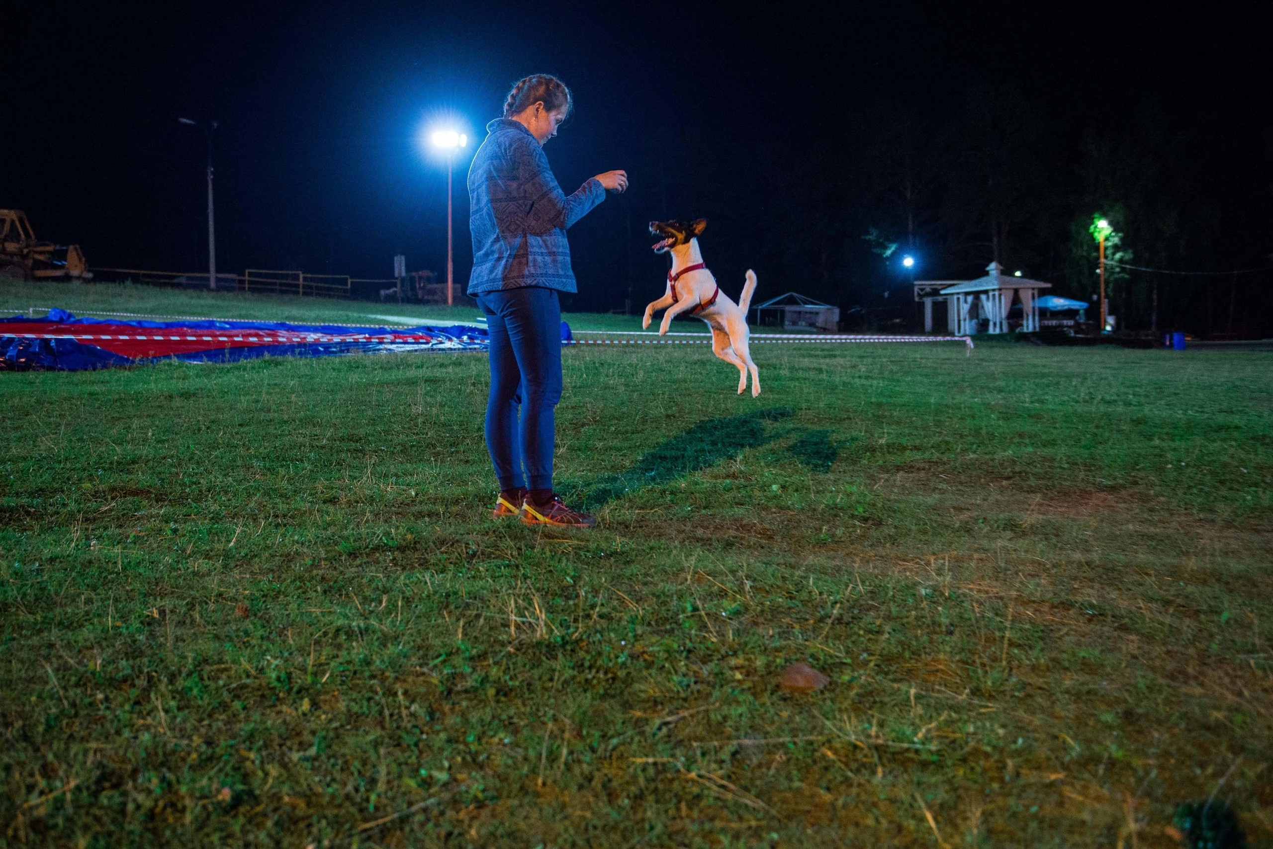 Дог-фестиваль 02.09.2017 Уктус Ночной след. Свадебный фотограф на Урале Виктор Соколов