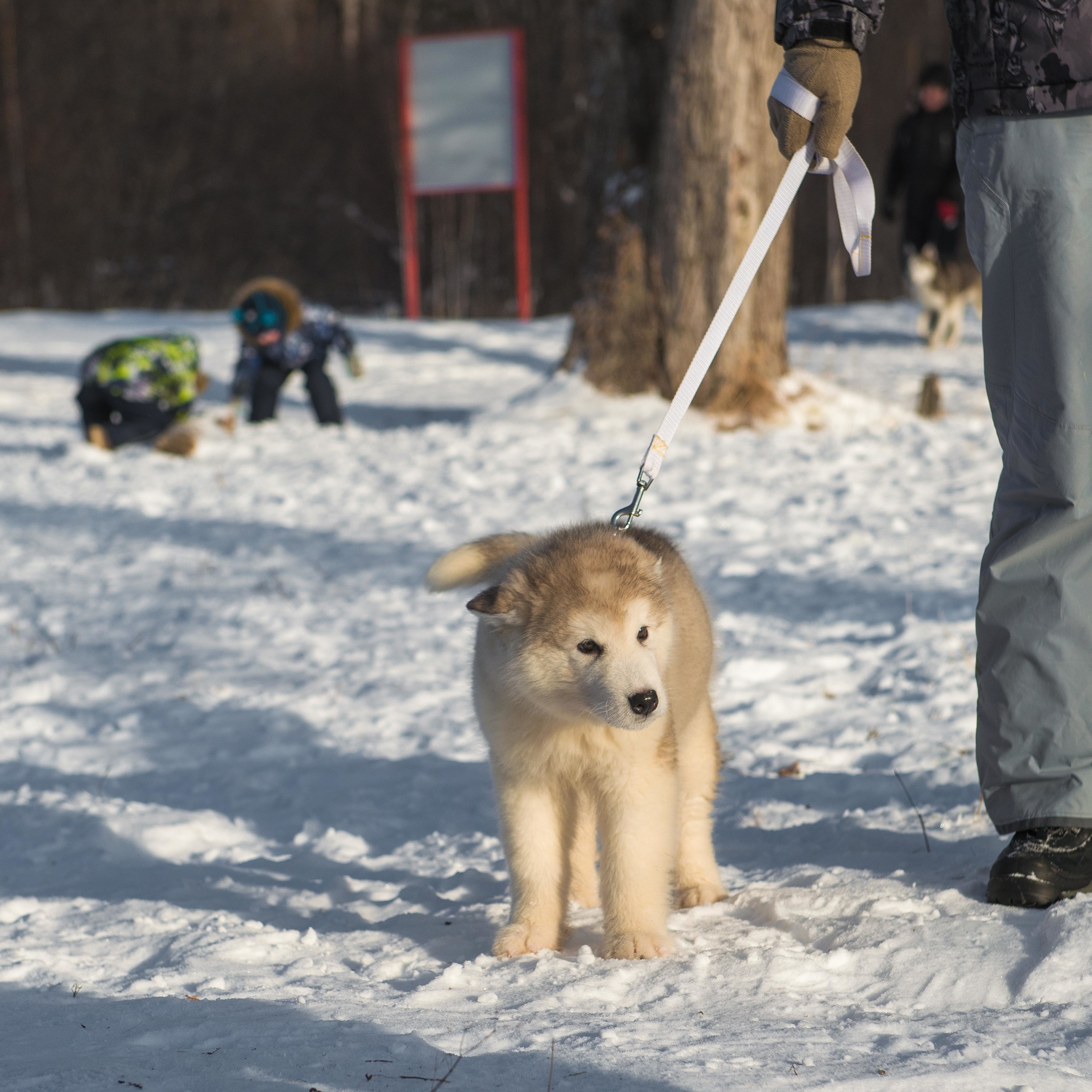 10 лет клубу Хэй-Хэй. Свадебный фотограф на Урале Виктор Соколов