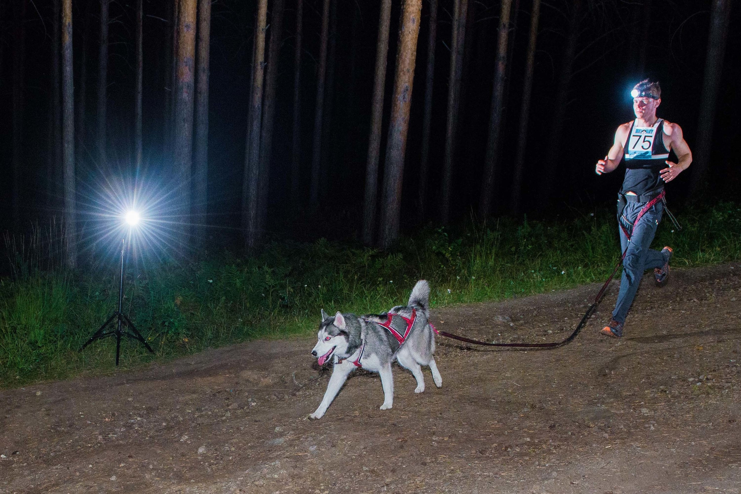 Дог-фестиваль 02.09.2017 Уктус Ночной след. Свадебный фотограф на Урале Виктор Соколов