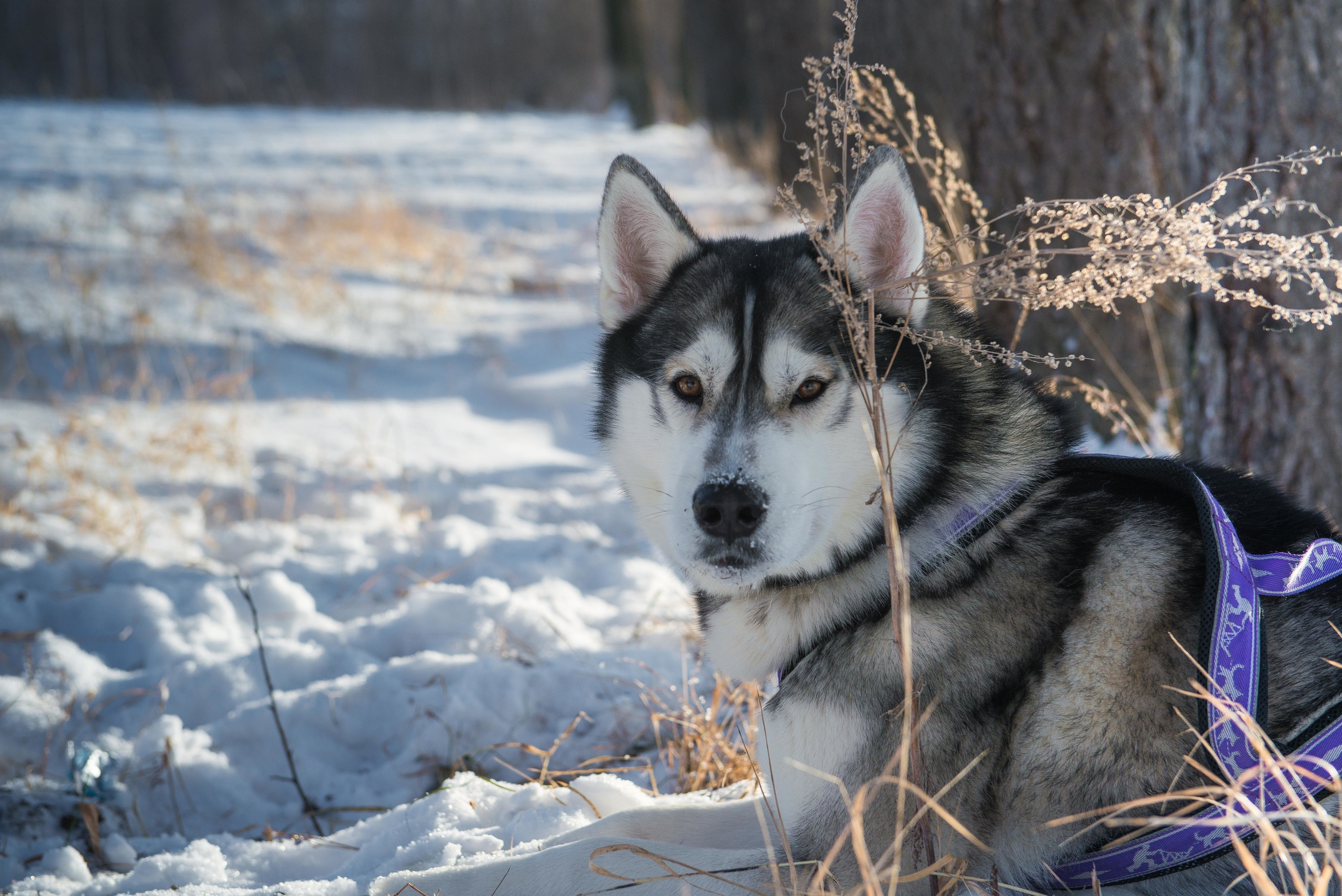 10 лет клубу Хэй-Хэй. Свадебный фотограф на Урале Виктор Соколов