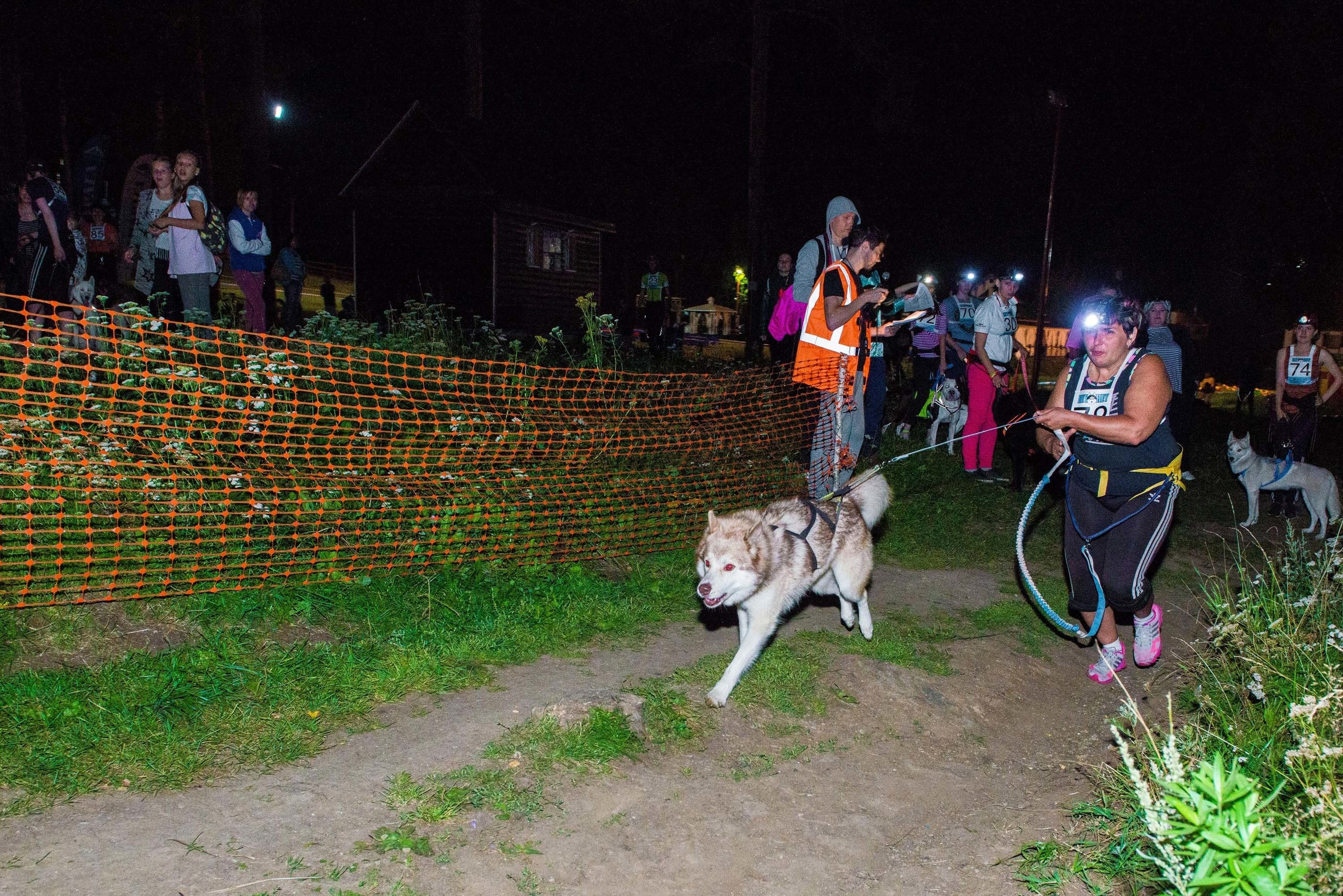 Дог-фестиваль 02.09.2017 Уктус Ночной след. Свадебный фотограф на Урале Виктор Соколов