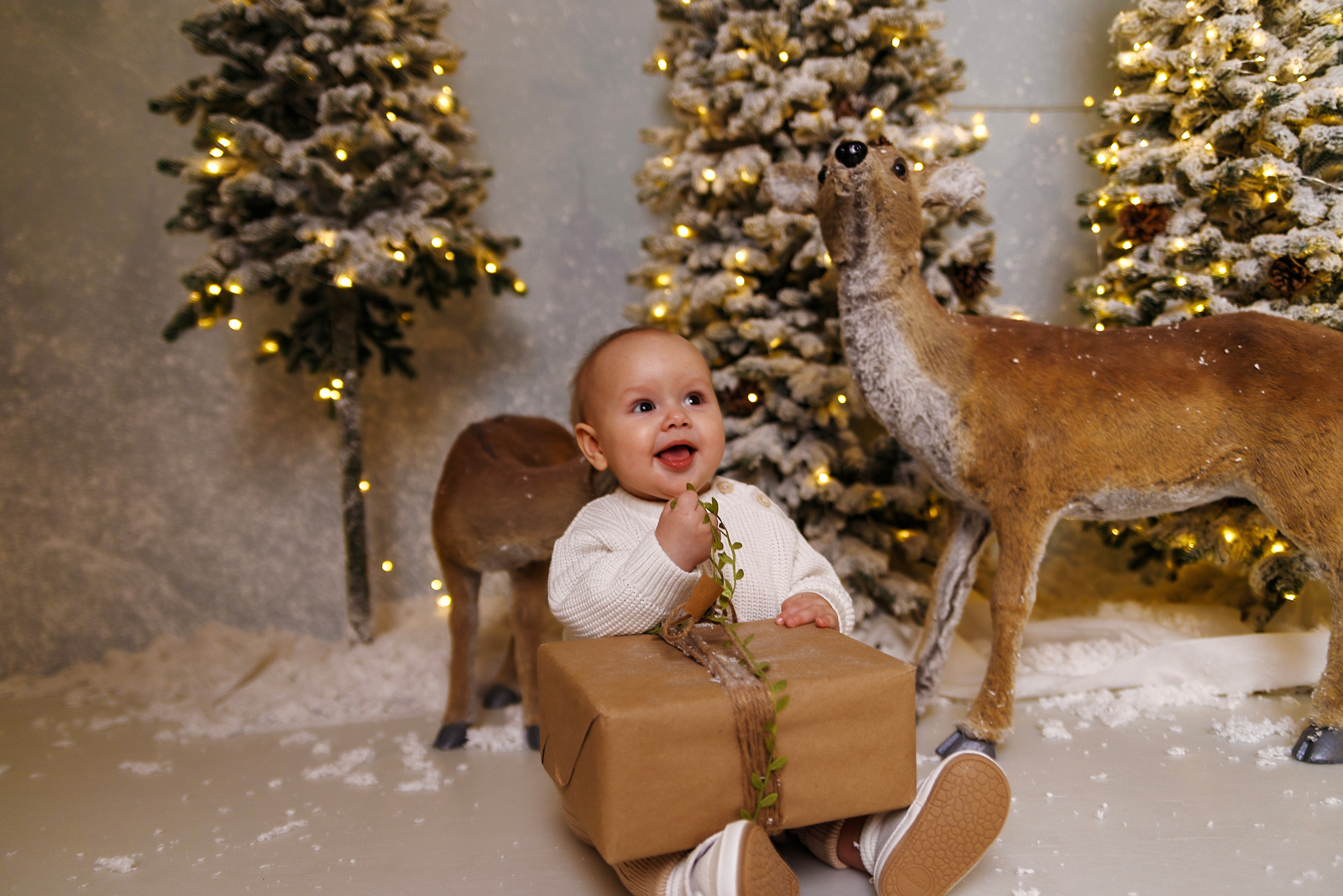 Семейная фотостудия. Семейный, свадебный и детский фотограф в Новосибирске Ольга Хидченко