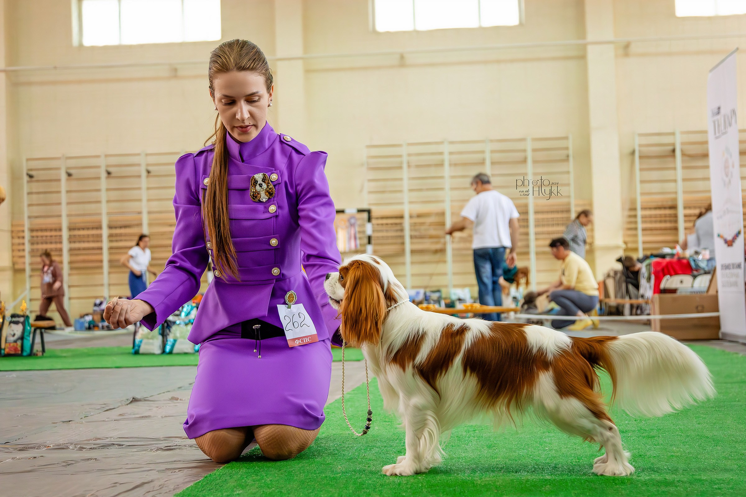 11 августа 2024, Выставка РКФ, г. Ижевск. Htykk_photo