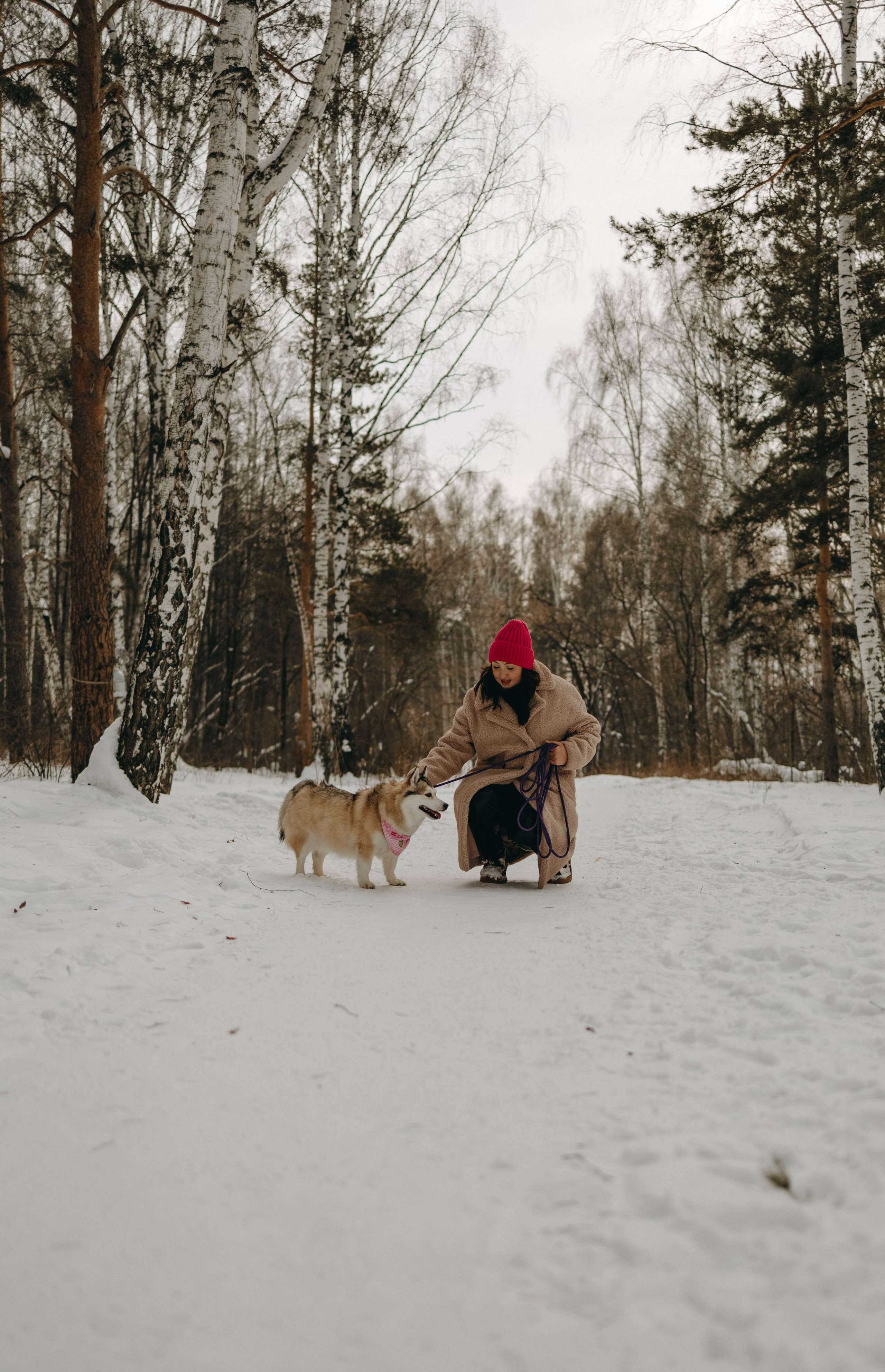 Варвара и Шелби. Фотограф-анималист в Екатеринбурге | Кристина