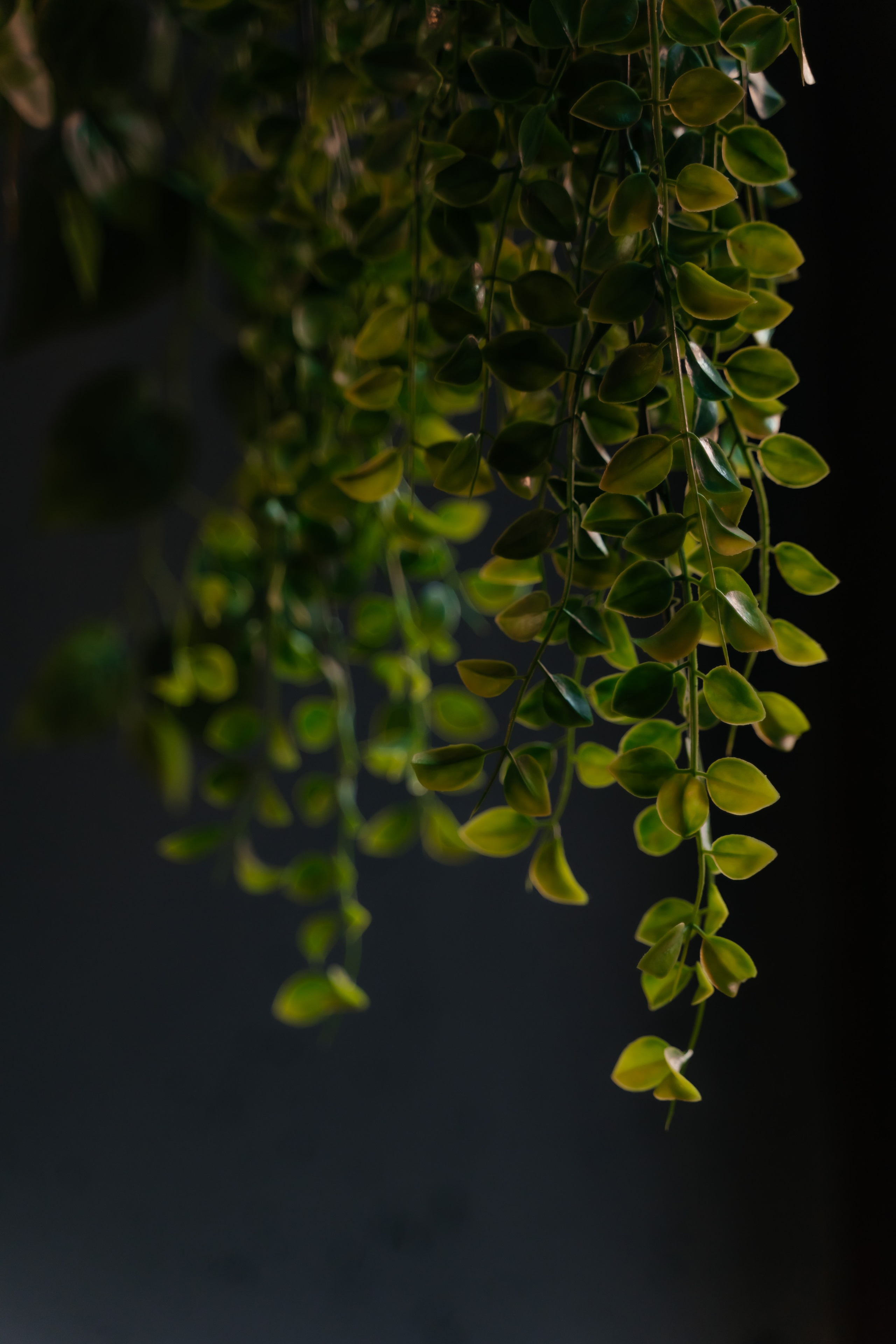 JuliMel Makeup. Семейный фотограф в Саратове