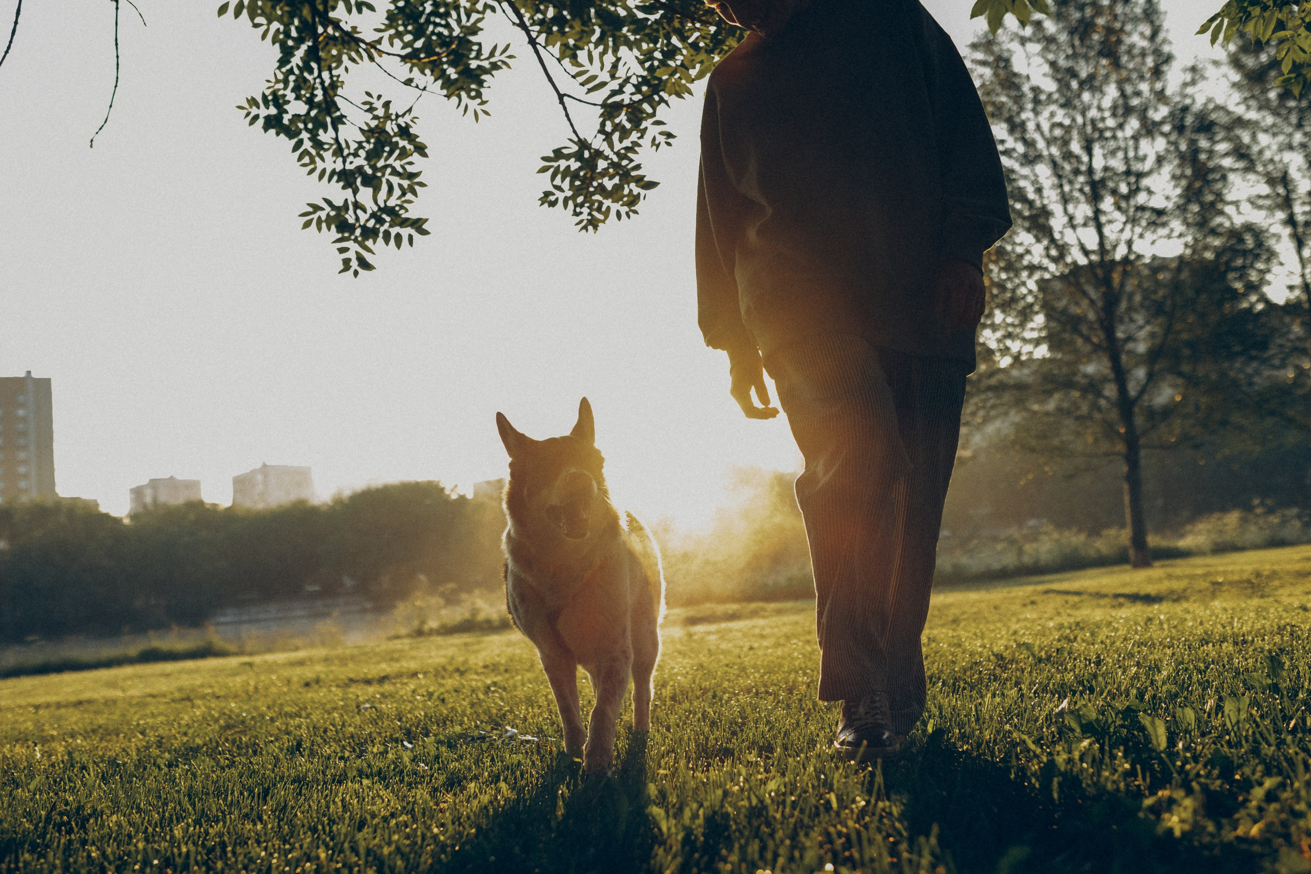 Варя и Зося. Татьяна Афонина | Фотограф