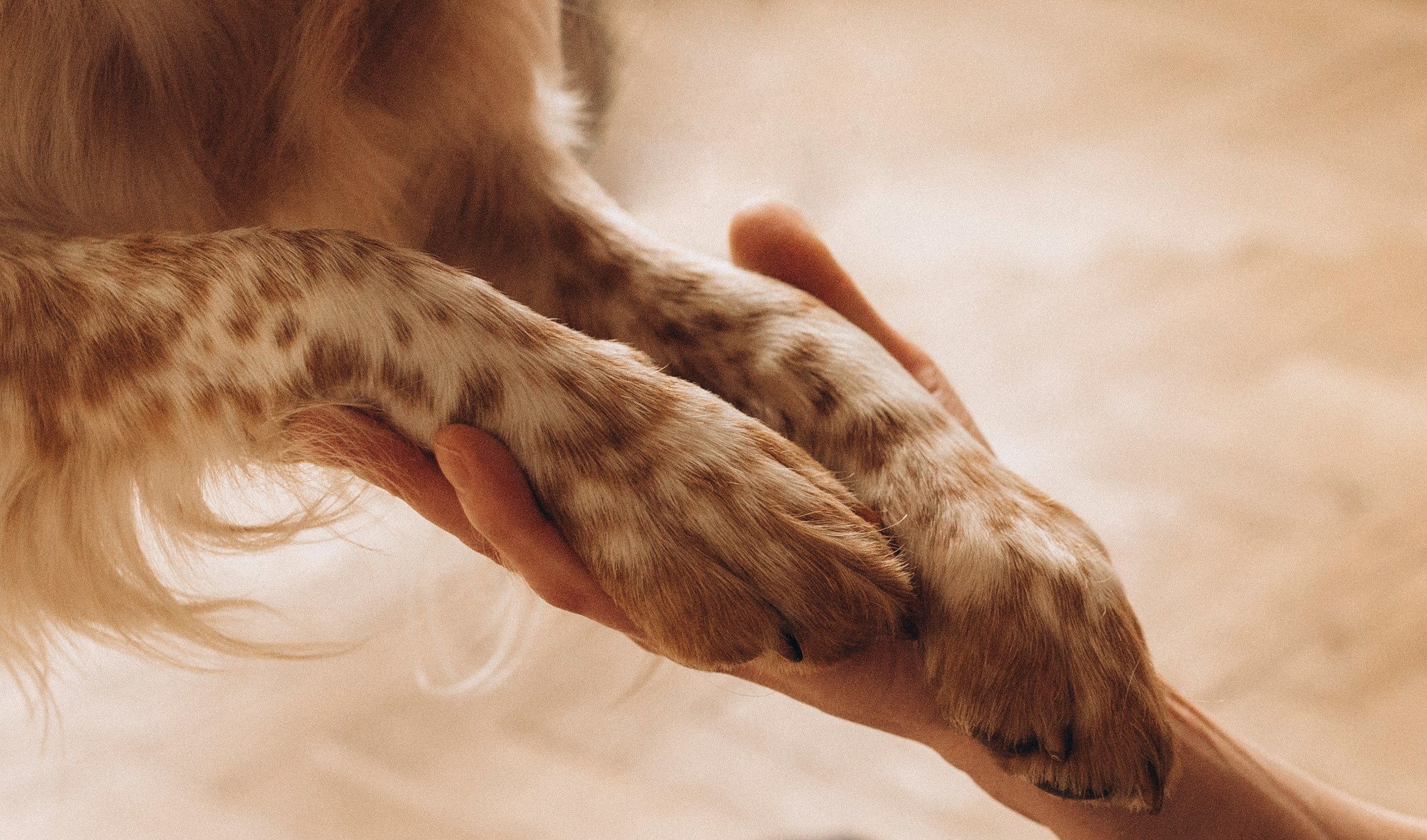 Настя и Уля. Татьяна Афонина | Фотограф