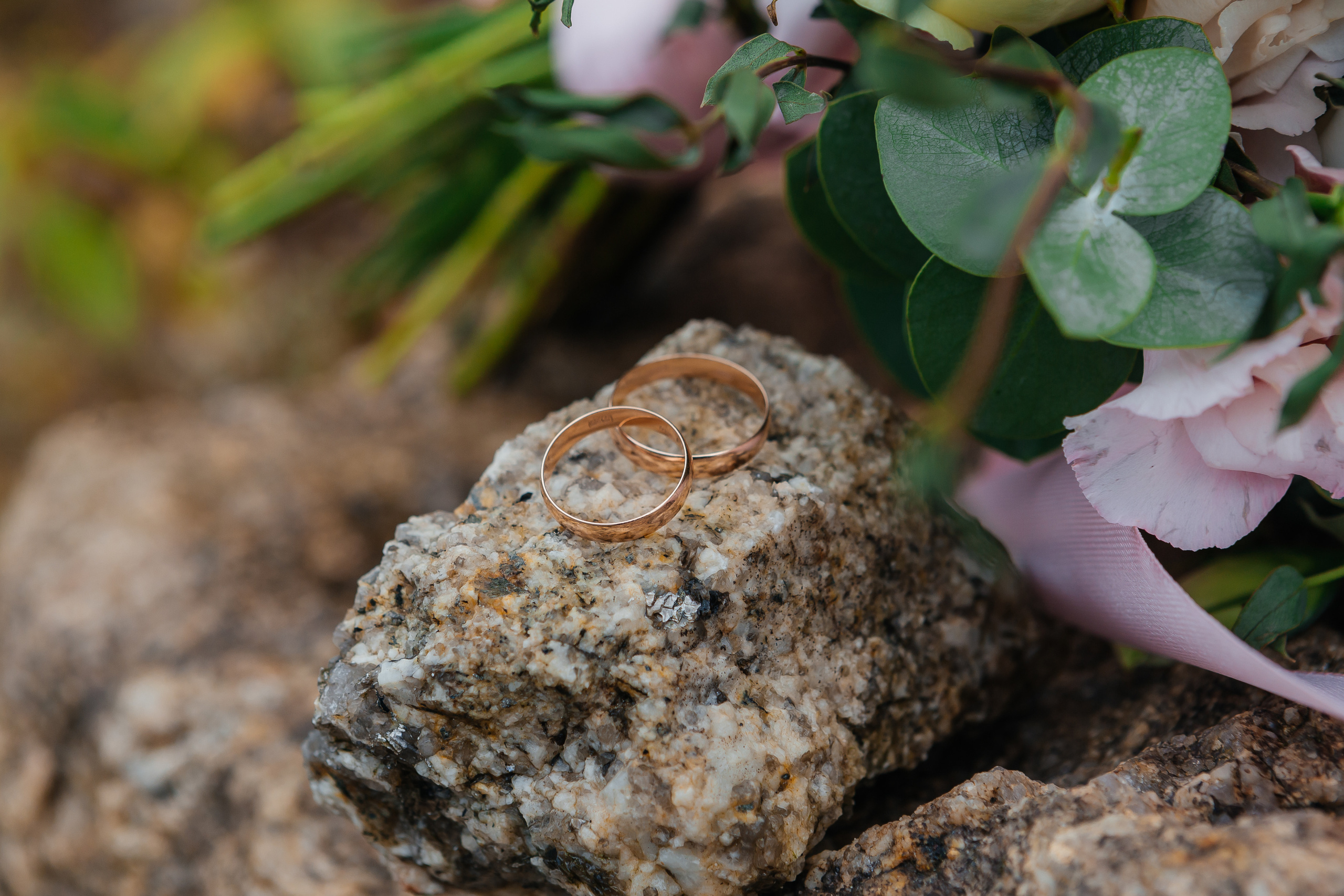 Фотосессия на свадьбу. Дарья Белякова. Свадебный, детский и семейный фотограф в городе Бийск