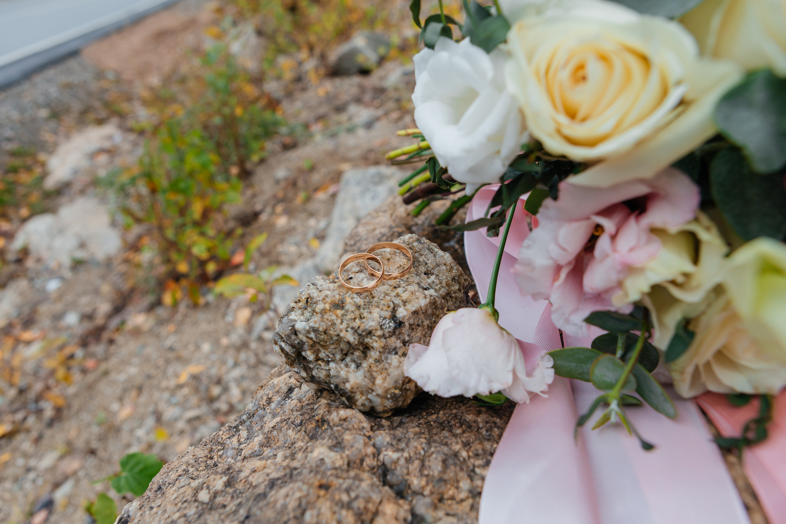 Фотосессия на свадьбу. Дарья Белякова. Свадебный, детский и семейный фотограф в городе Бийск