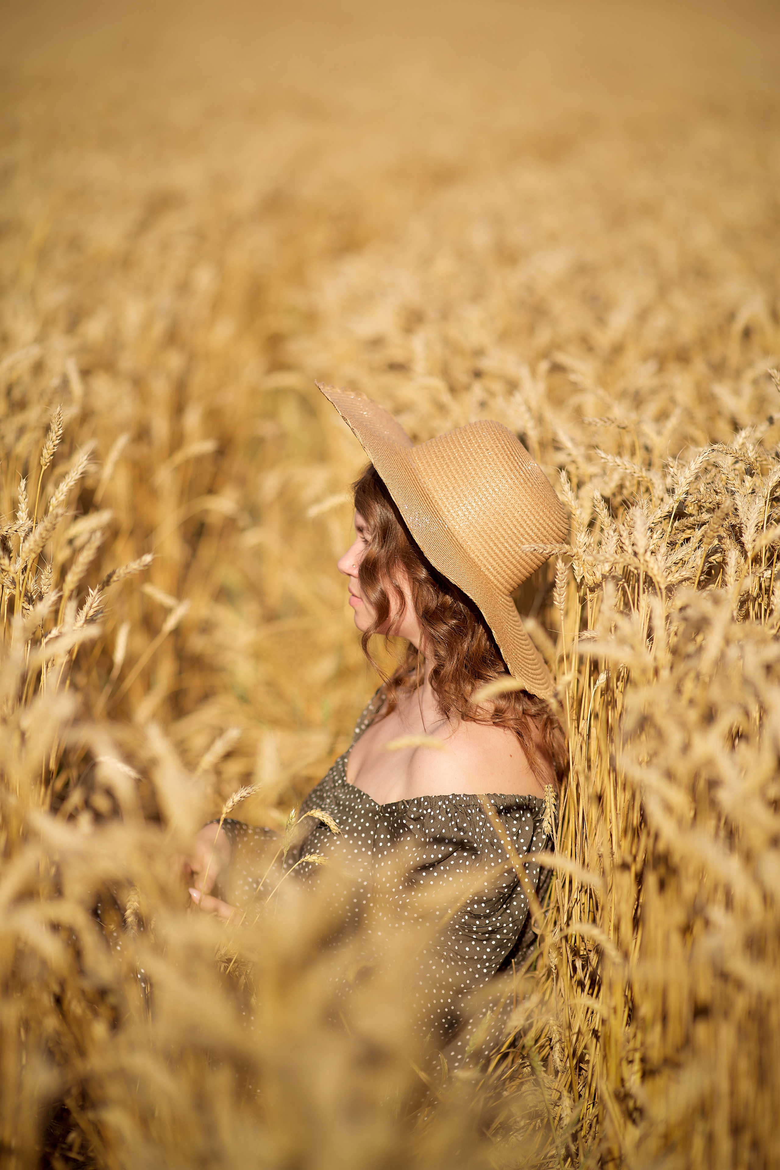 Пшеничное поле. Дарья Белякова. Свадебный, детский и семейный фотограф в городе Бийск