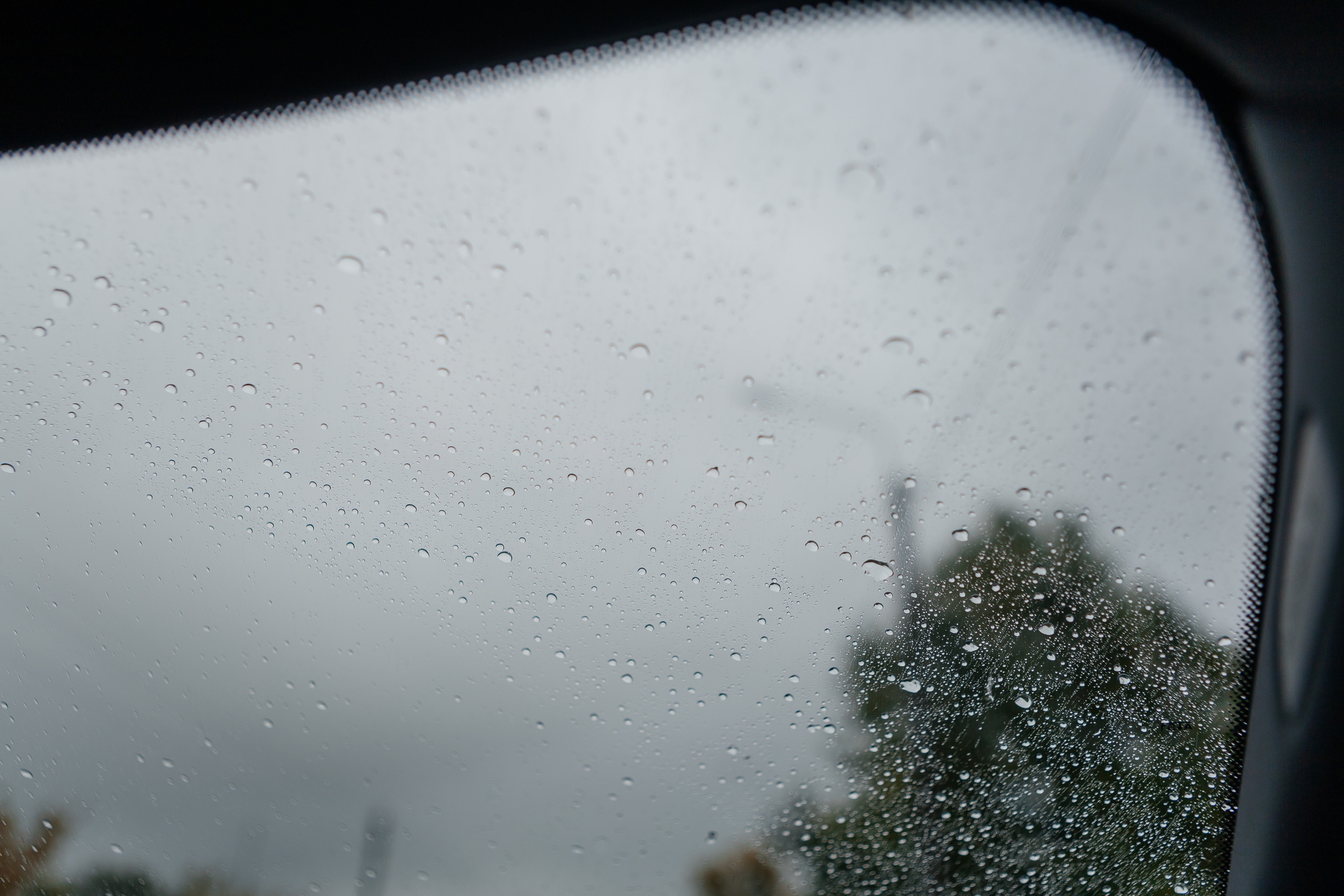 Фотосессия на свадьбу. Дарья Белякова. Свадебный, детский и семейный фотограф в городе Бийск