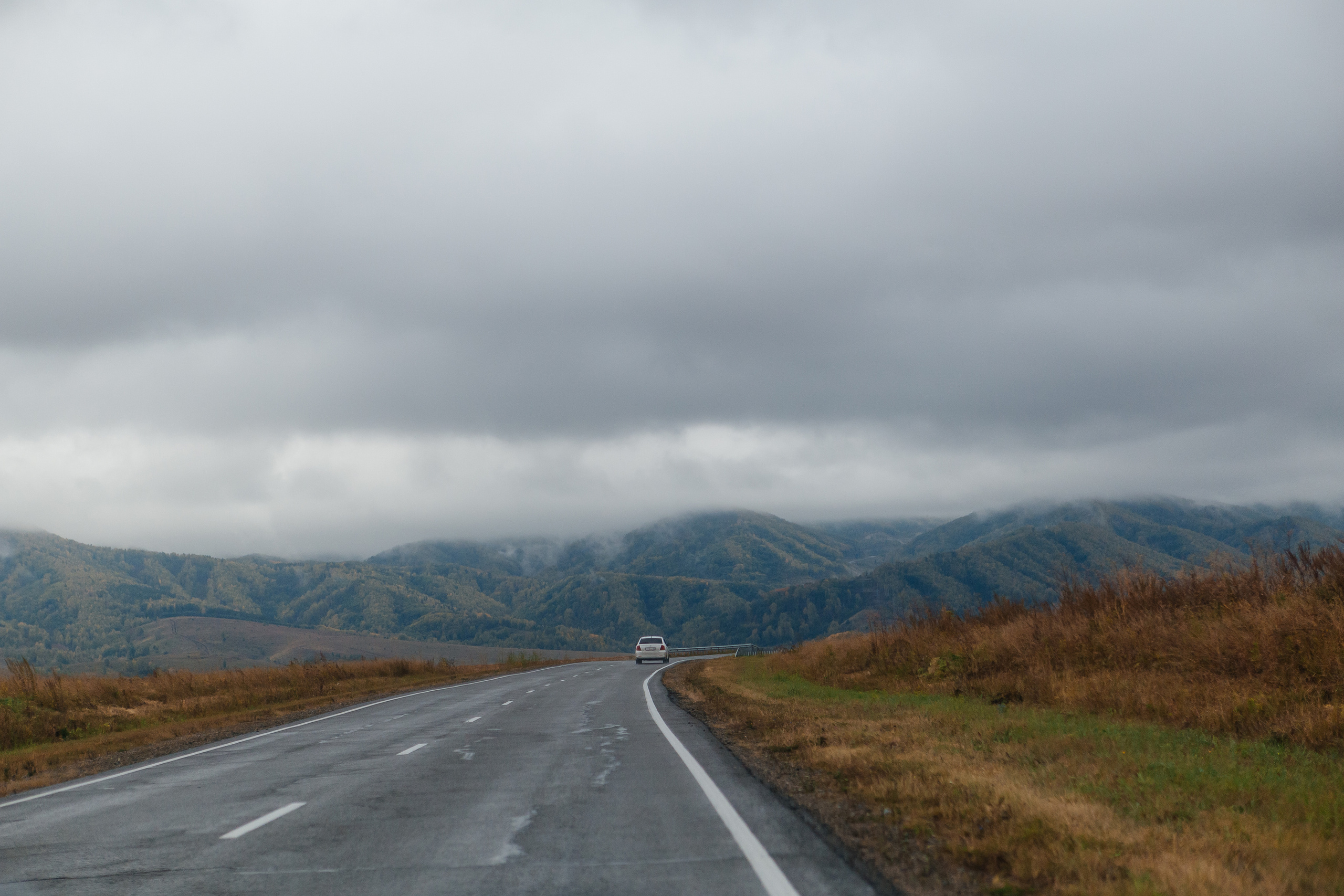 Фотосессия на свадьбу. Дарья Белякова. Свадебный, детский и семейный фотограф в городе Бийск