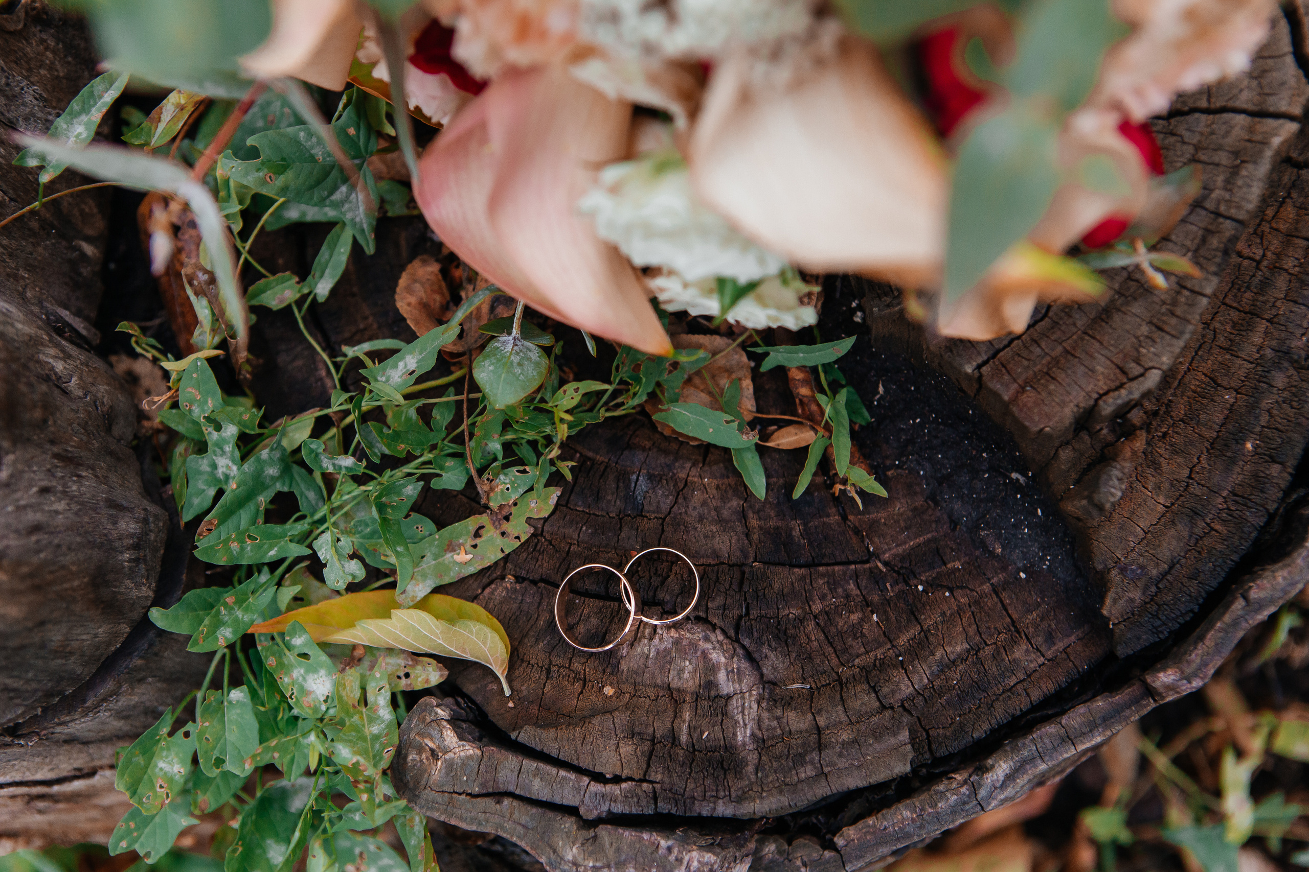 Свадьба осенью. Дарья Белякова. Свадебный, детский и семейный фотограф в городе Бийск