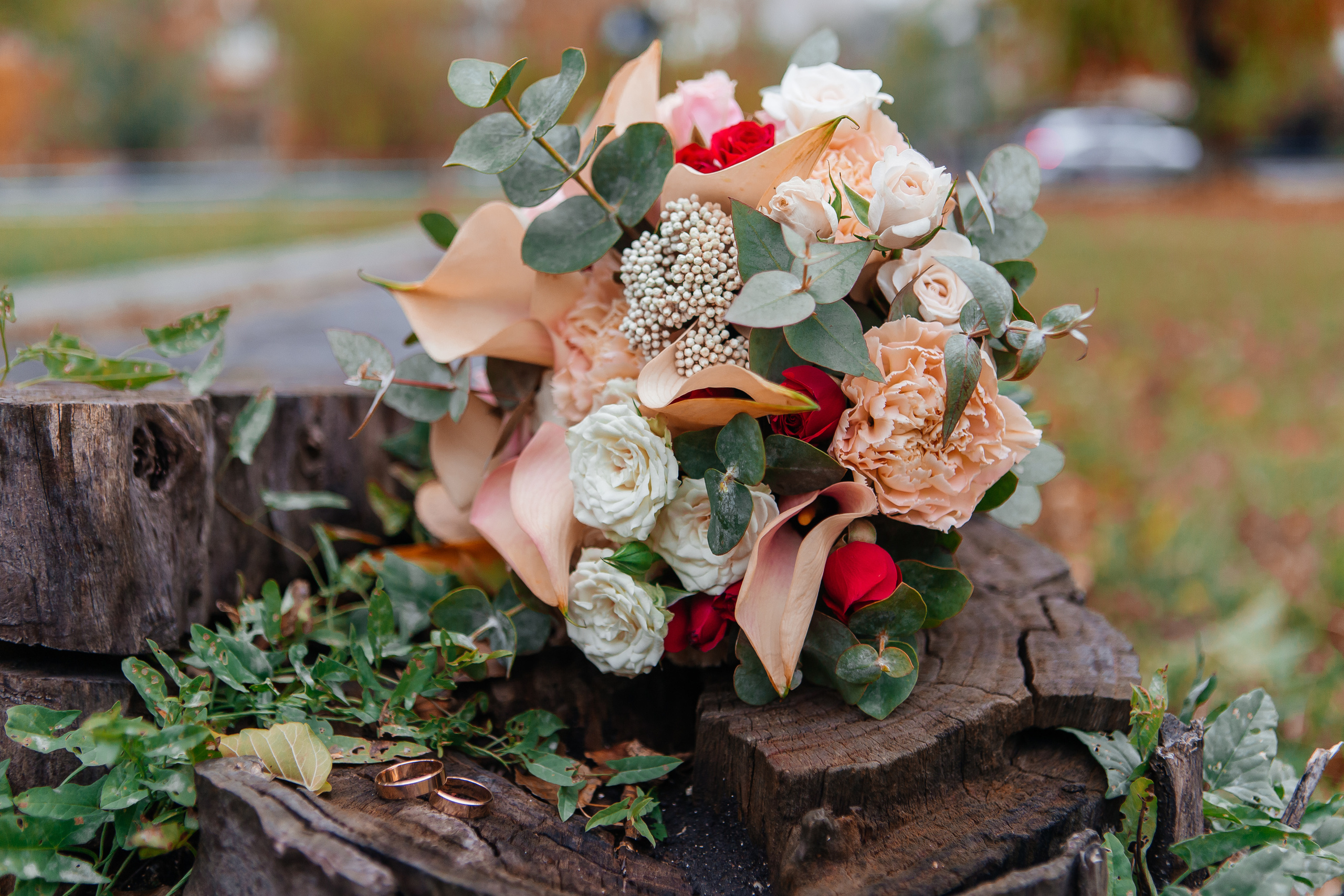 Свадьба осенью. Дарья Белякова. Свадебный, детский и семейный фотограф в городе Бийск