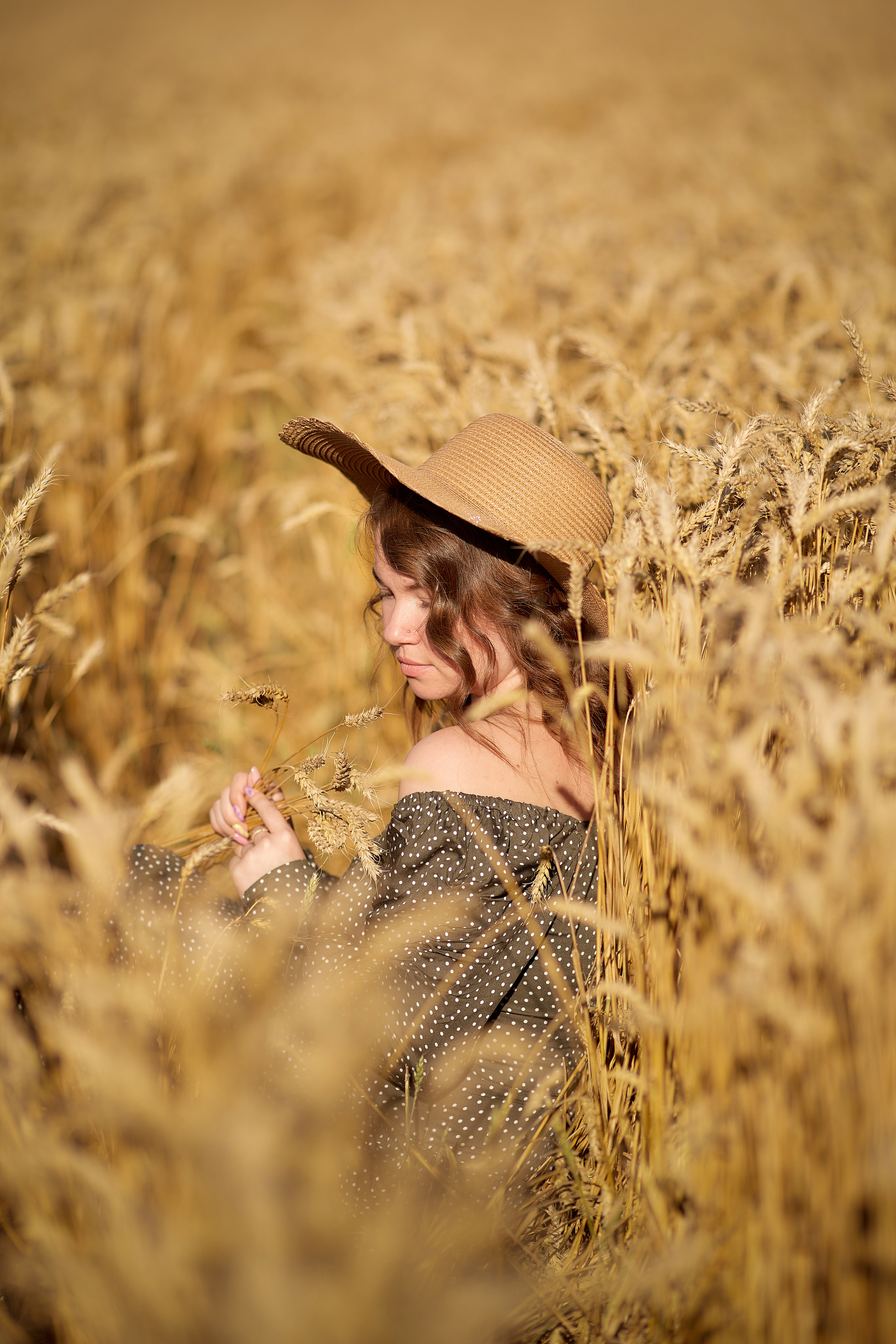 Пшеничное поле. Дарья Белякова. Свадебный, детский и семейный фотограф в городе Бийск