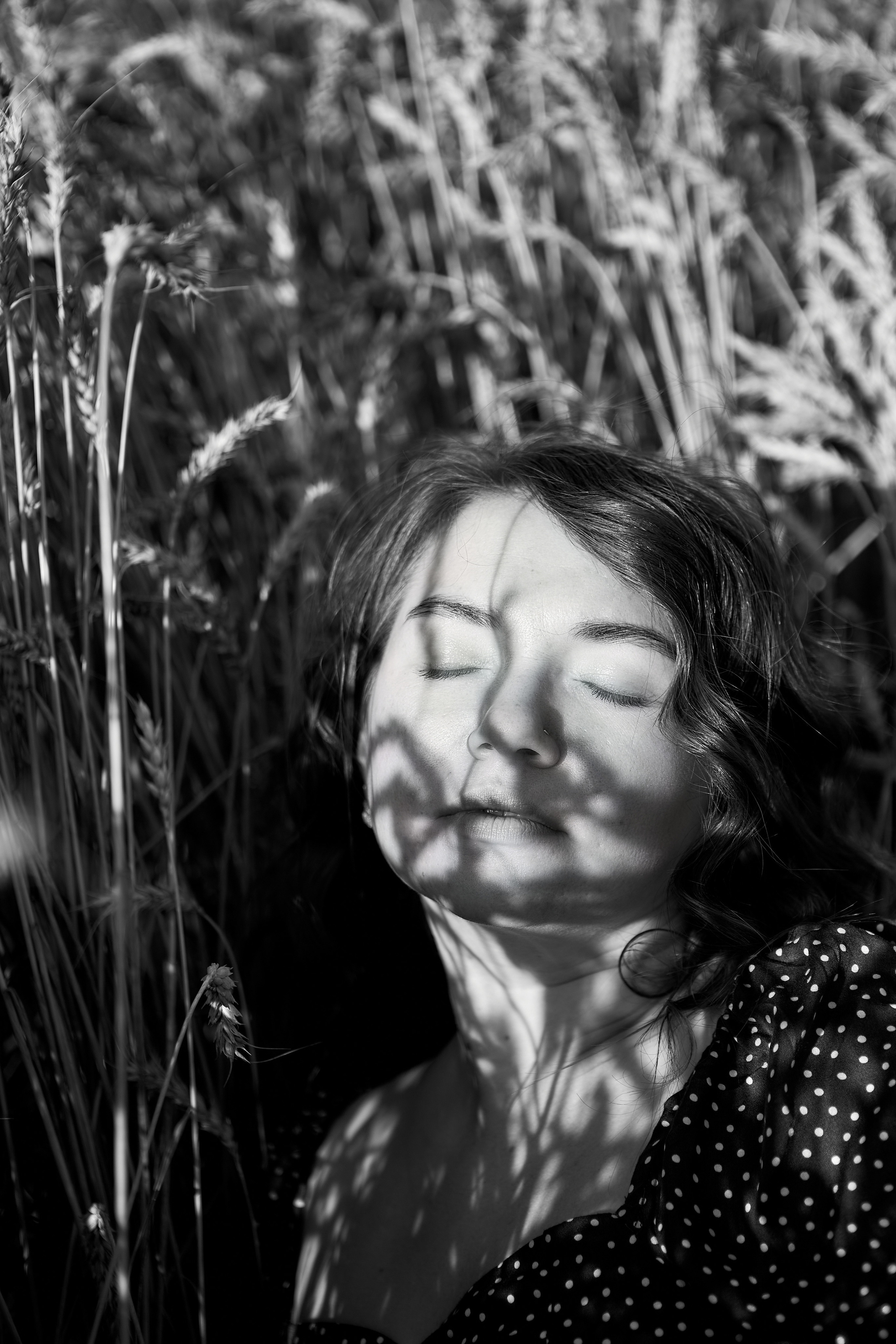 Пшеничное поле. Дарья Белякова. Свадебный, детский и семейный фотограф в городе Бийск