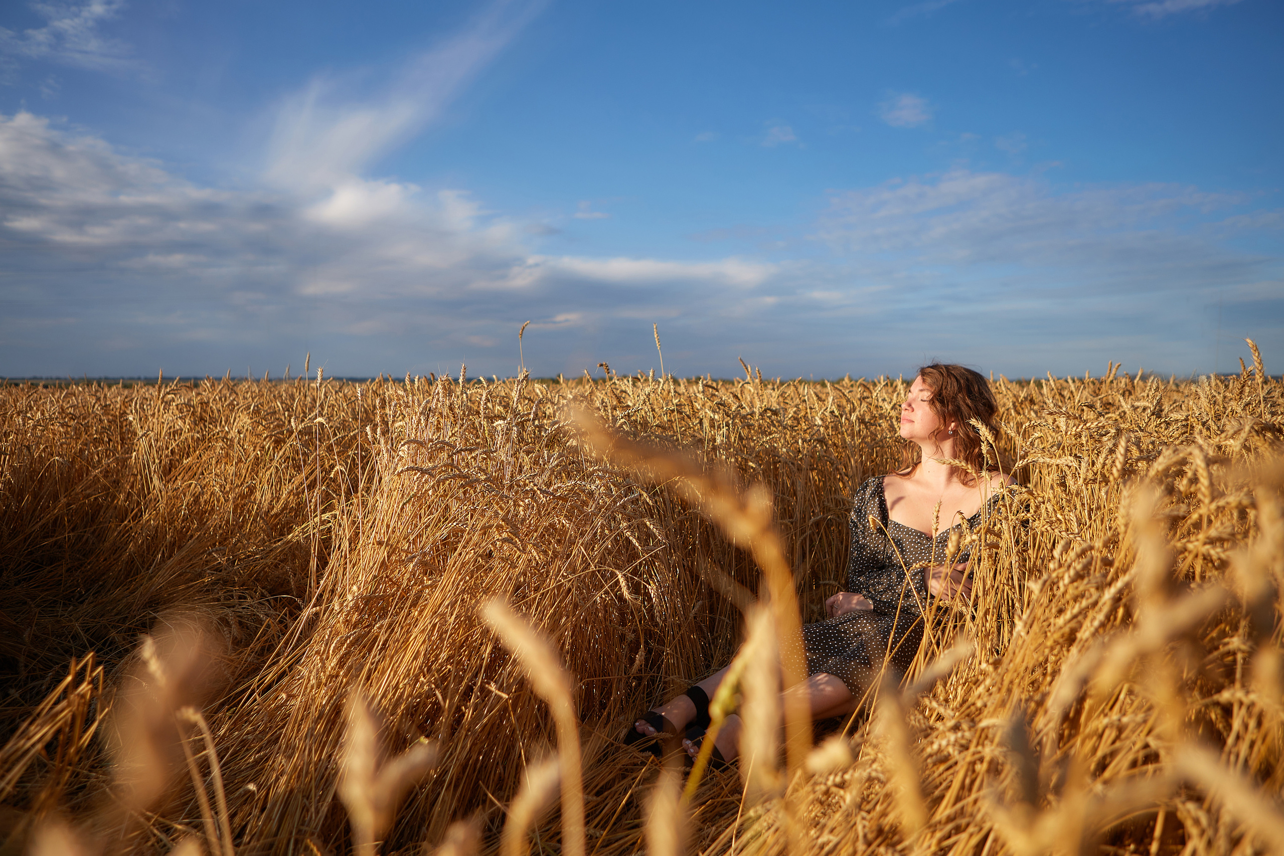Пшеничное поле. Дарья Белякова. Свадебный, детский и семейный фотограф в городе Бийск