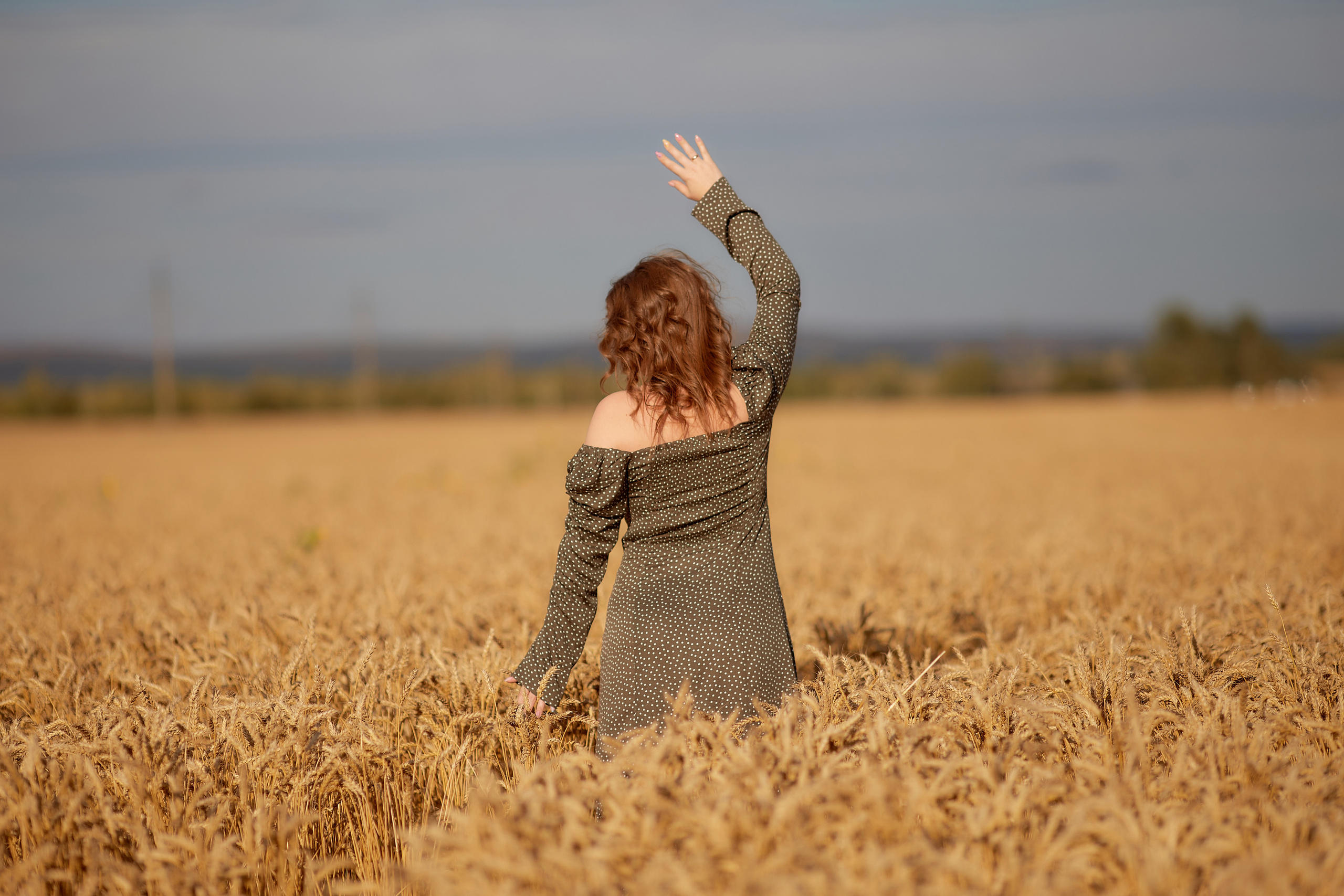 Пшеничное поле. Дарья Белякова. Свадебный, детский и семейный фотограф в городе Бийск
