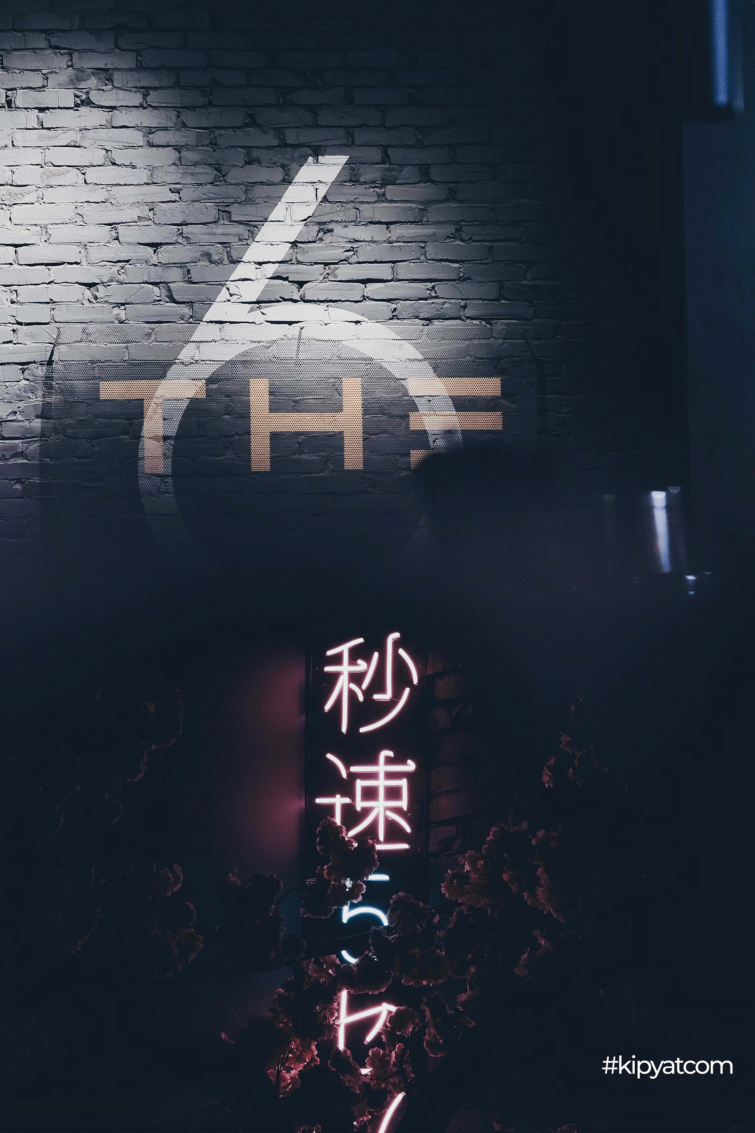 The 6