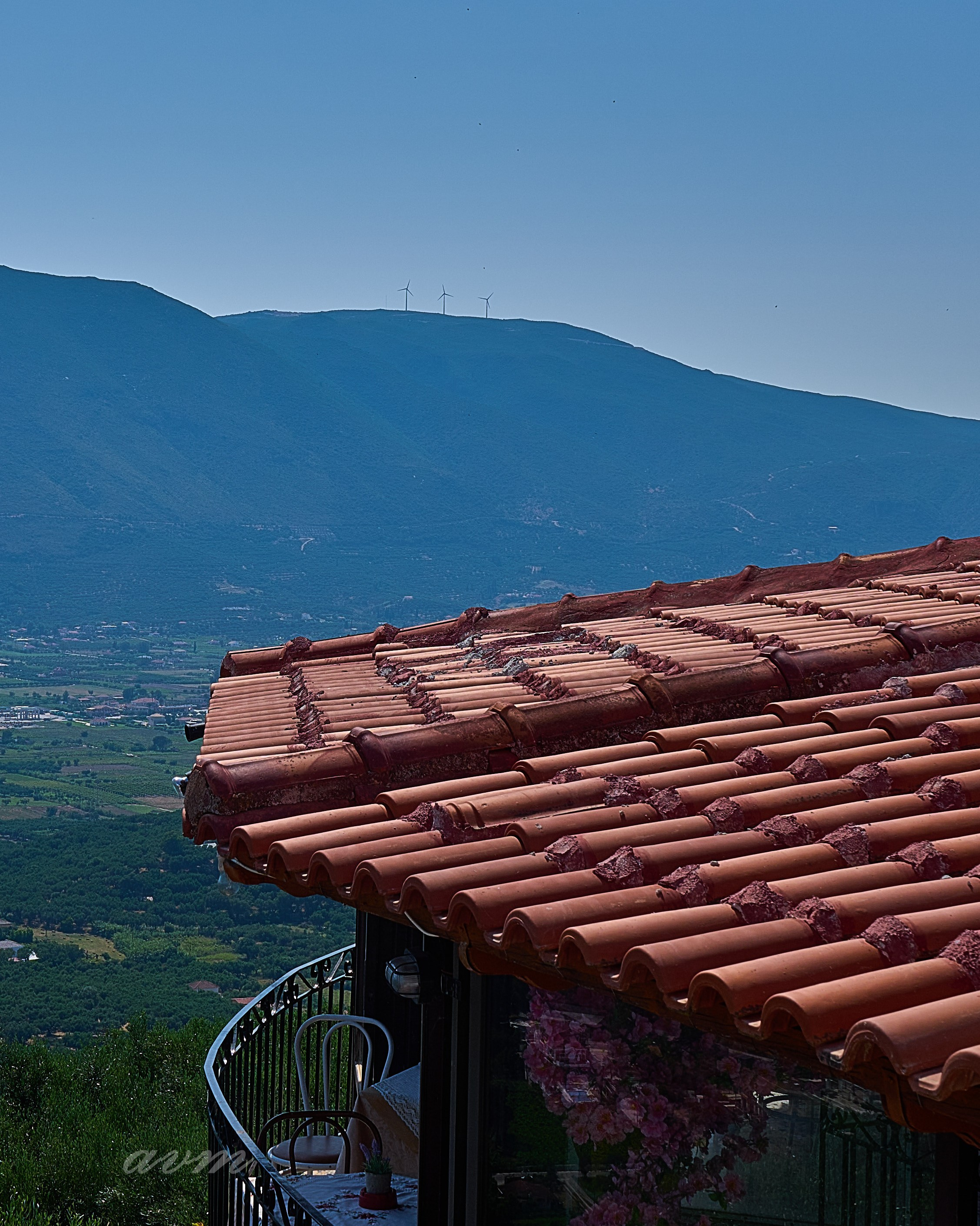 Закинтос Груция2023. Фотограф Михеев Андрей