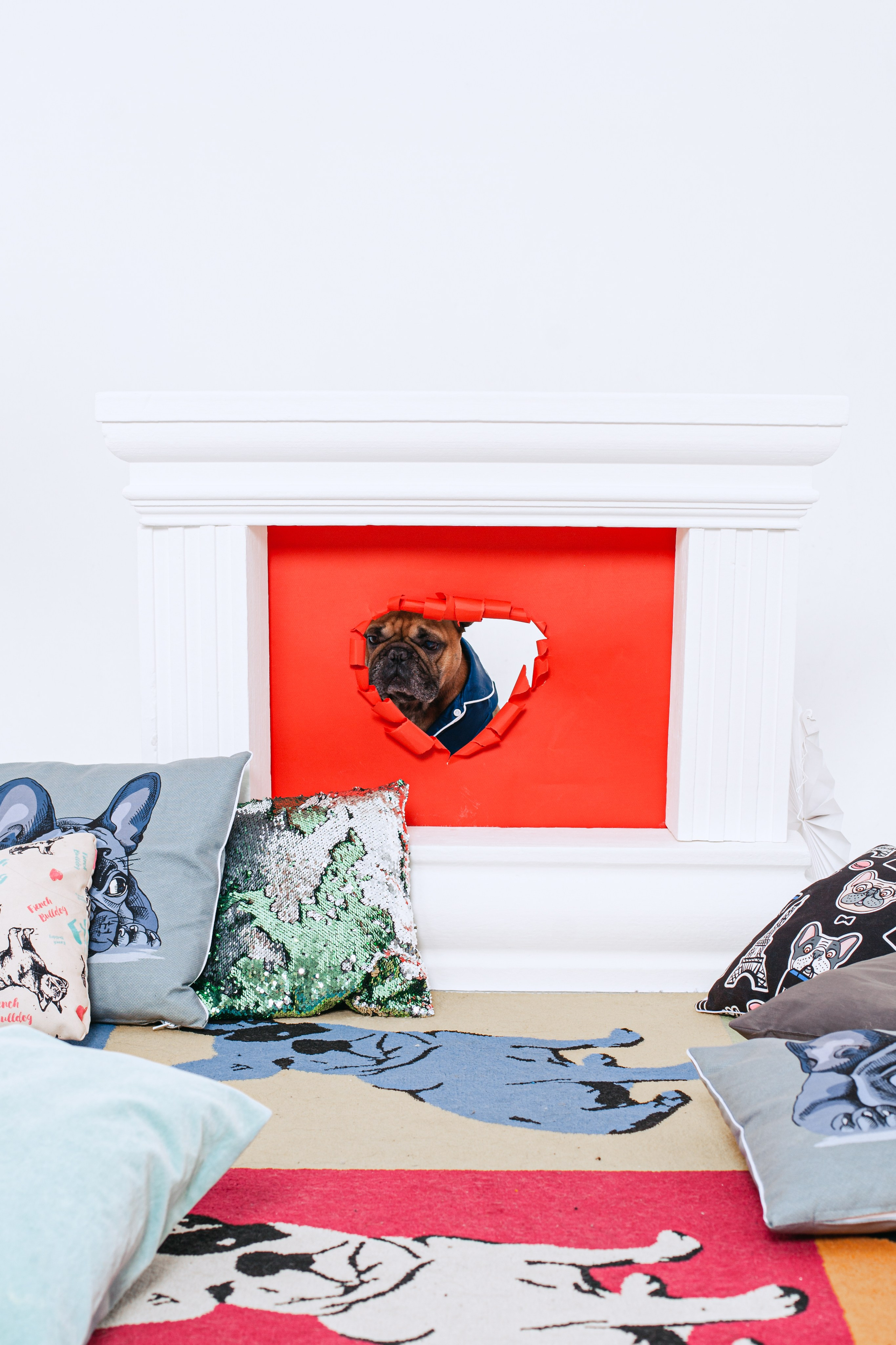 Пижамная вечеринка французских бульдогов и их хозяев. Фотограф-анималист Татьяна Степанова