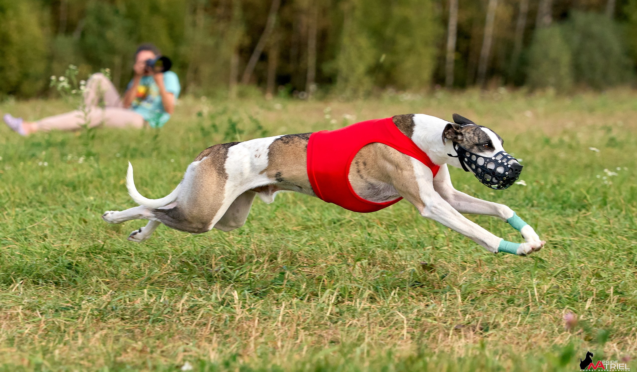 Съемка курсинг — галерея NATRIEL