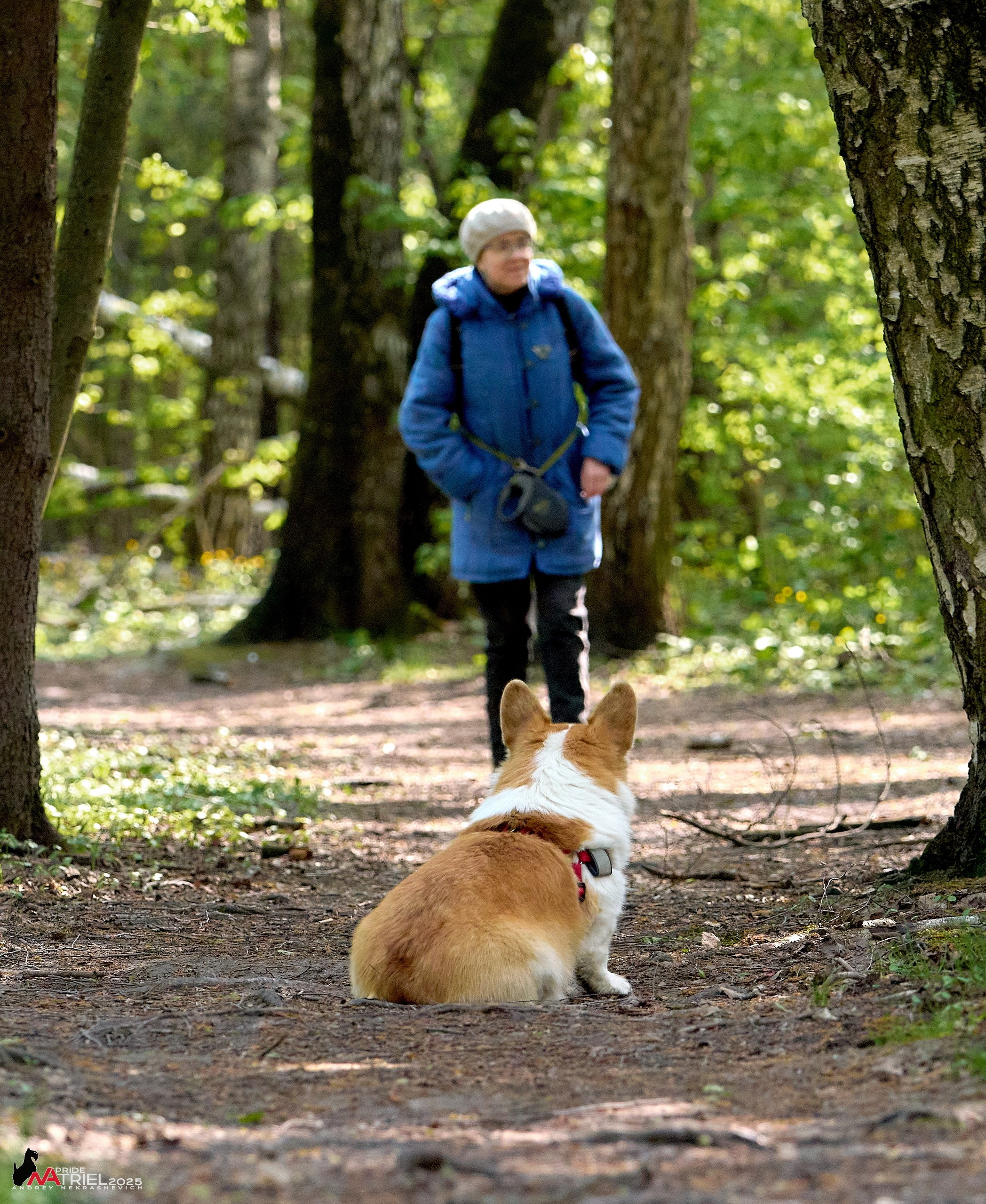 Съемка в майском лесу