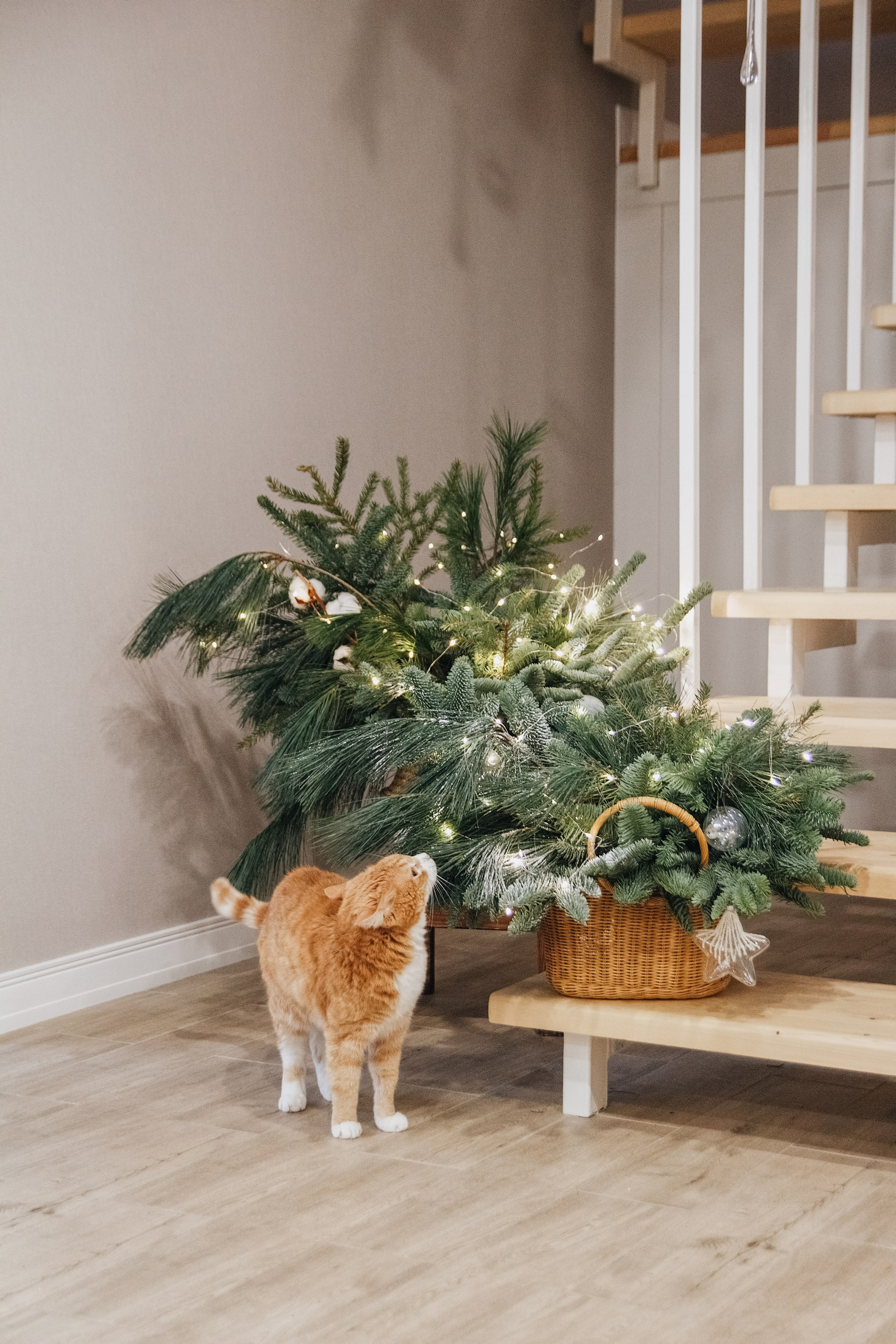 Таунхаус 2023. Ксения Почтарь. Декоратор и флорист, город Владивосток