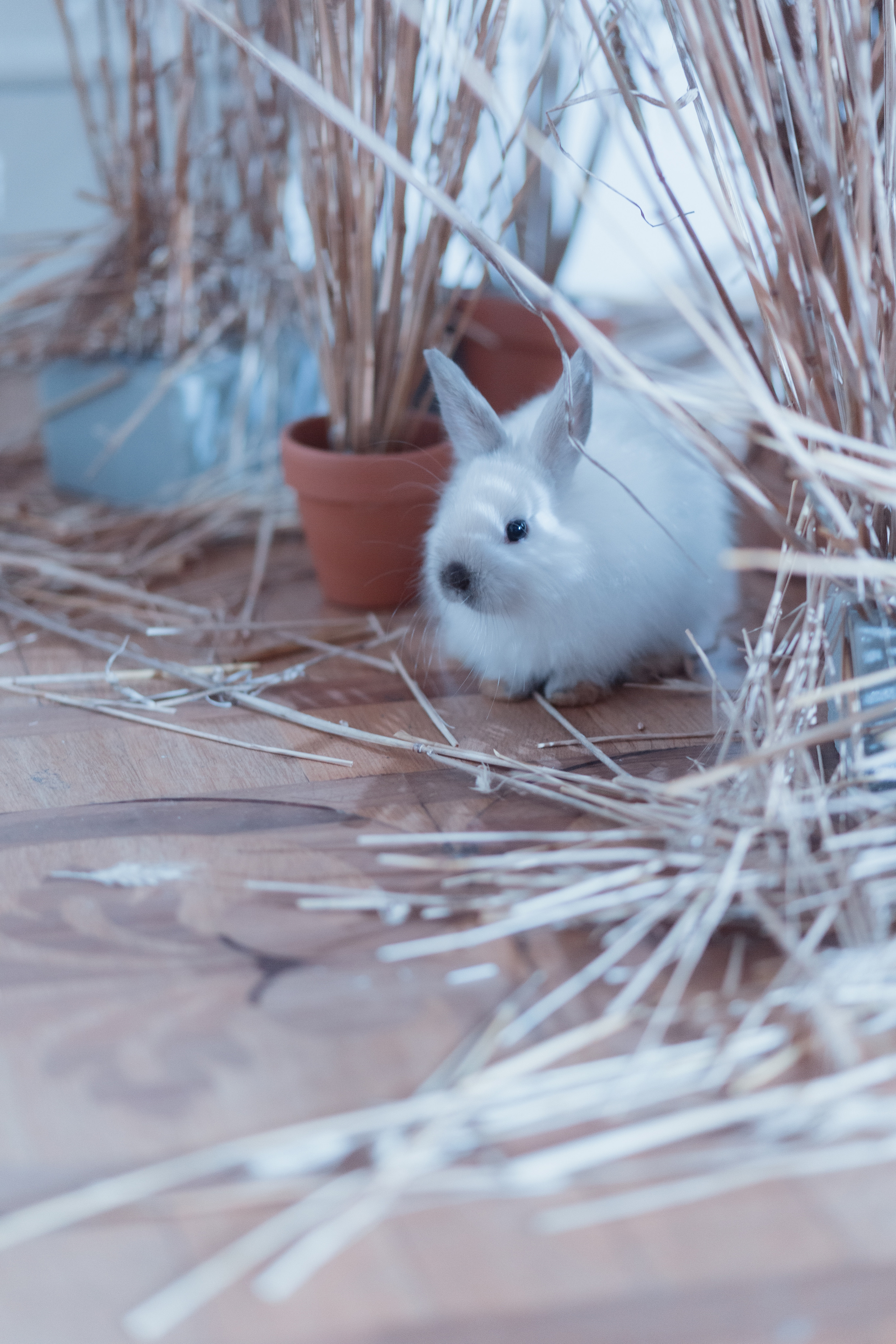 Александра и Андрей. Креатор Ольга Яш