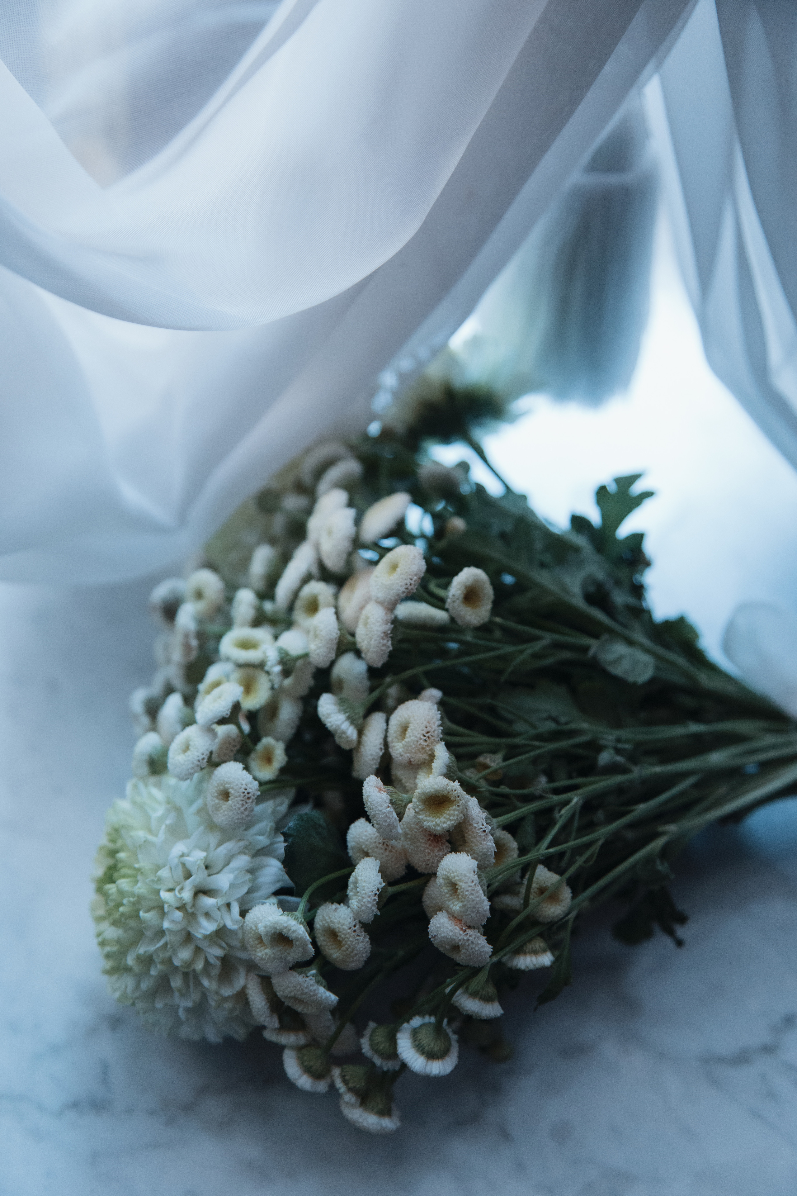 Александра и Андрей. Креатор Ольга Яш