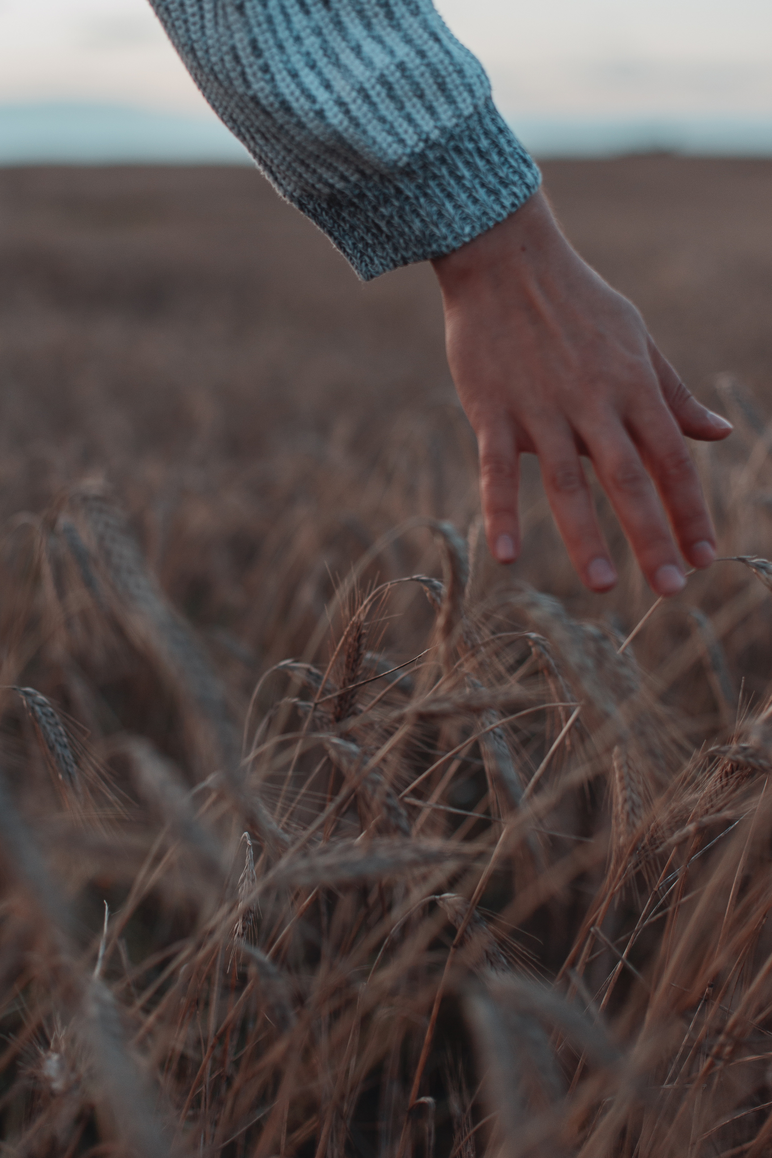 Константин Драма. Креатор Ольга Яш