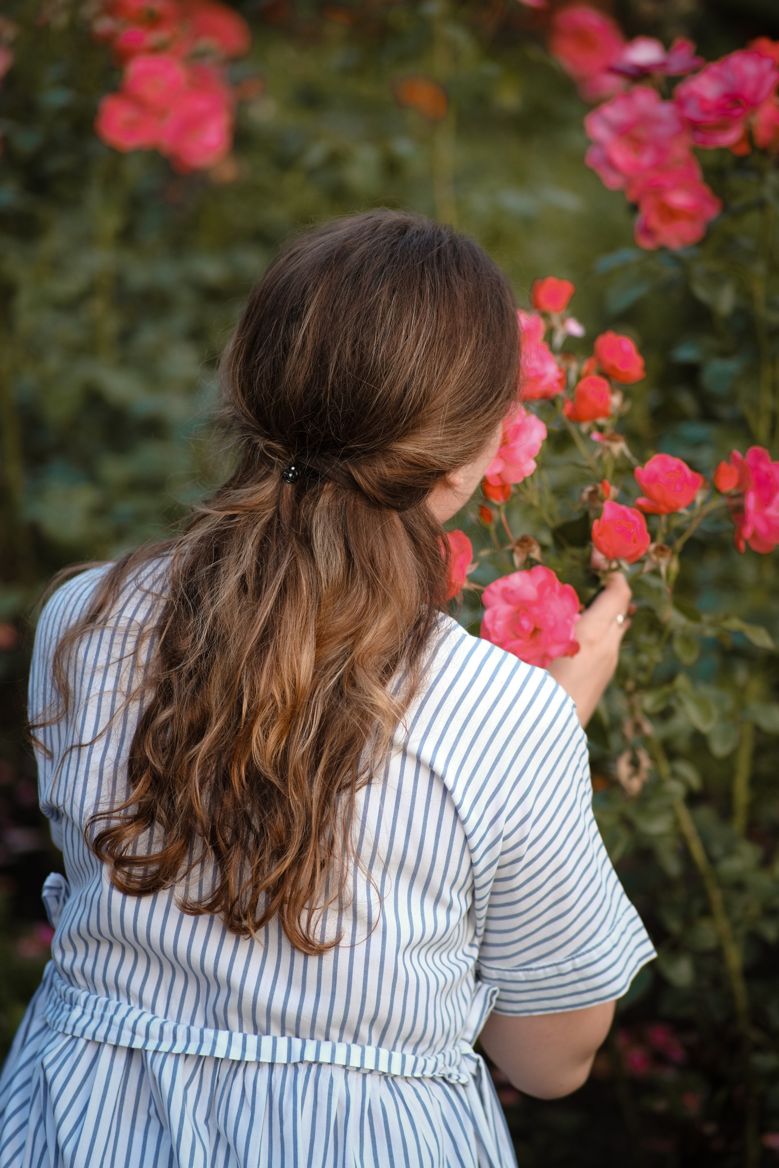 Вечер в розарии. Свадебный и семейный фотограф в Москве Инника Кетлер