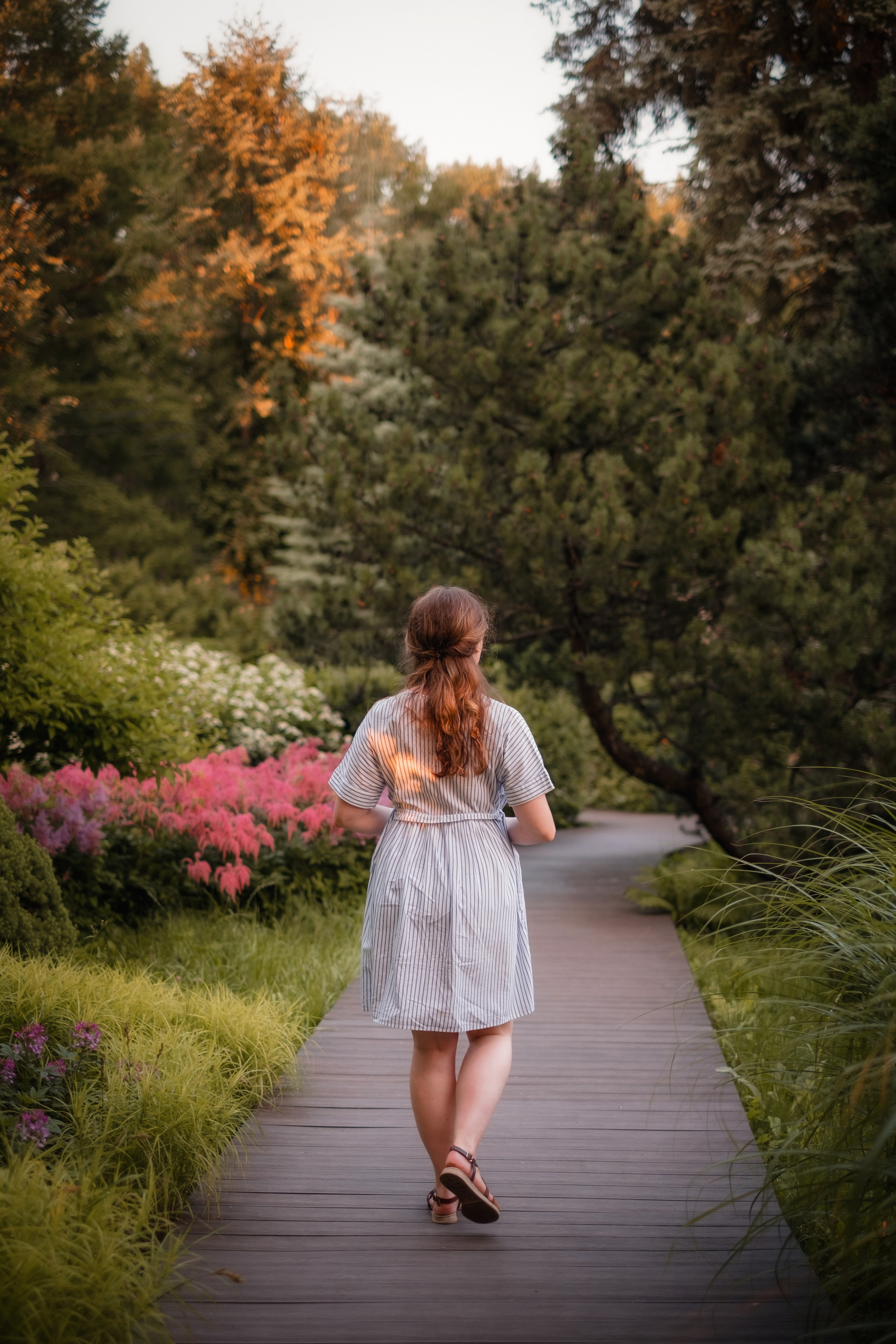 Вечер в розарии. Свадебный и семейный фотограф в Москве Инника Кетлер