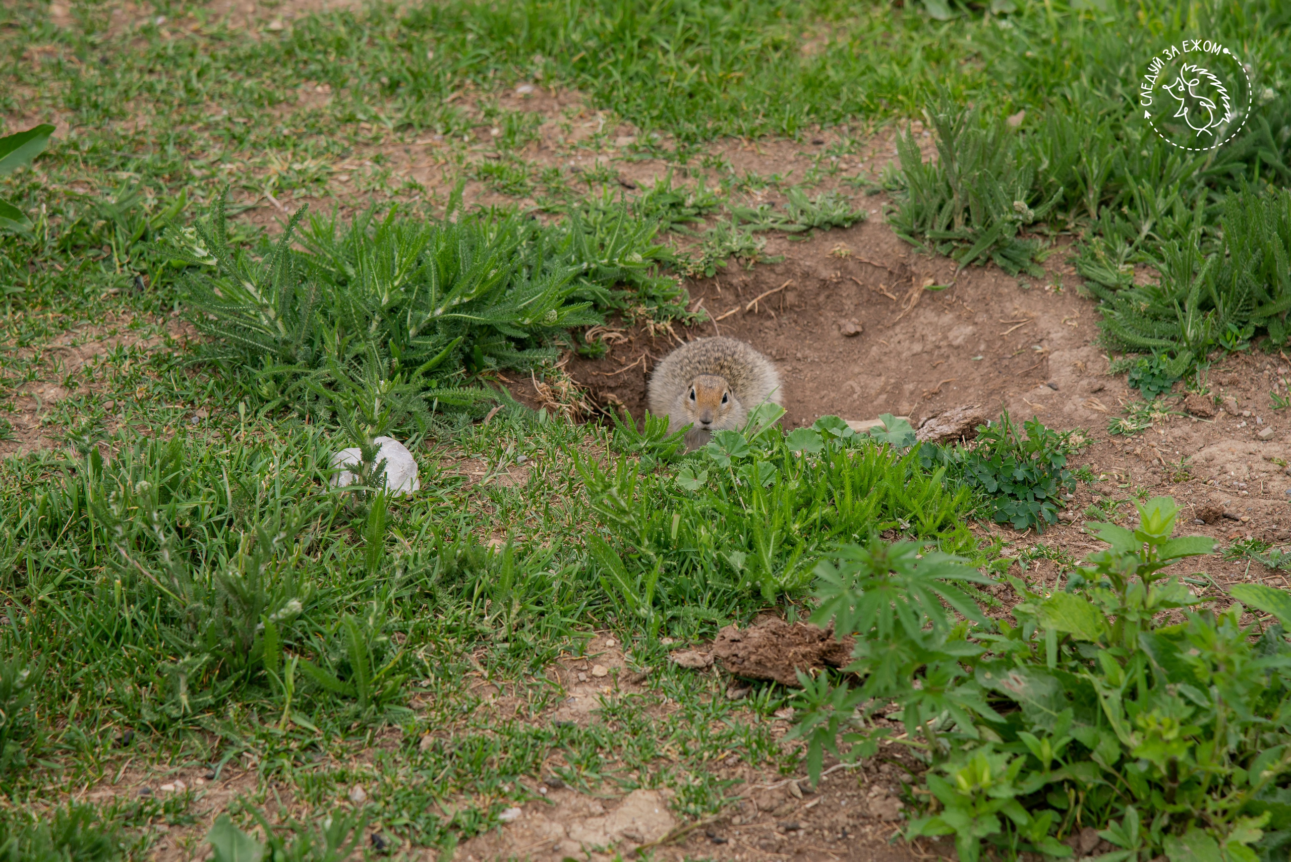 Тур в Чегем. Фотограф Галина Нестерова