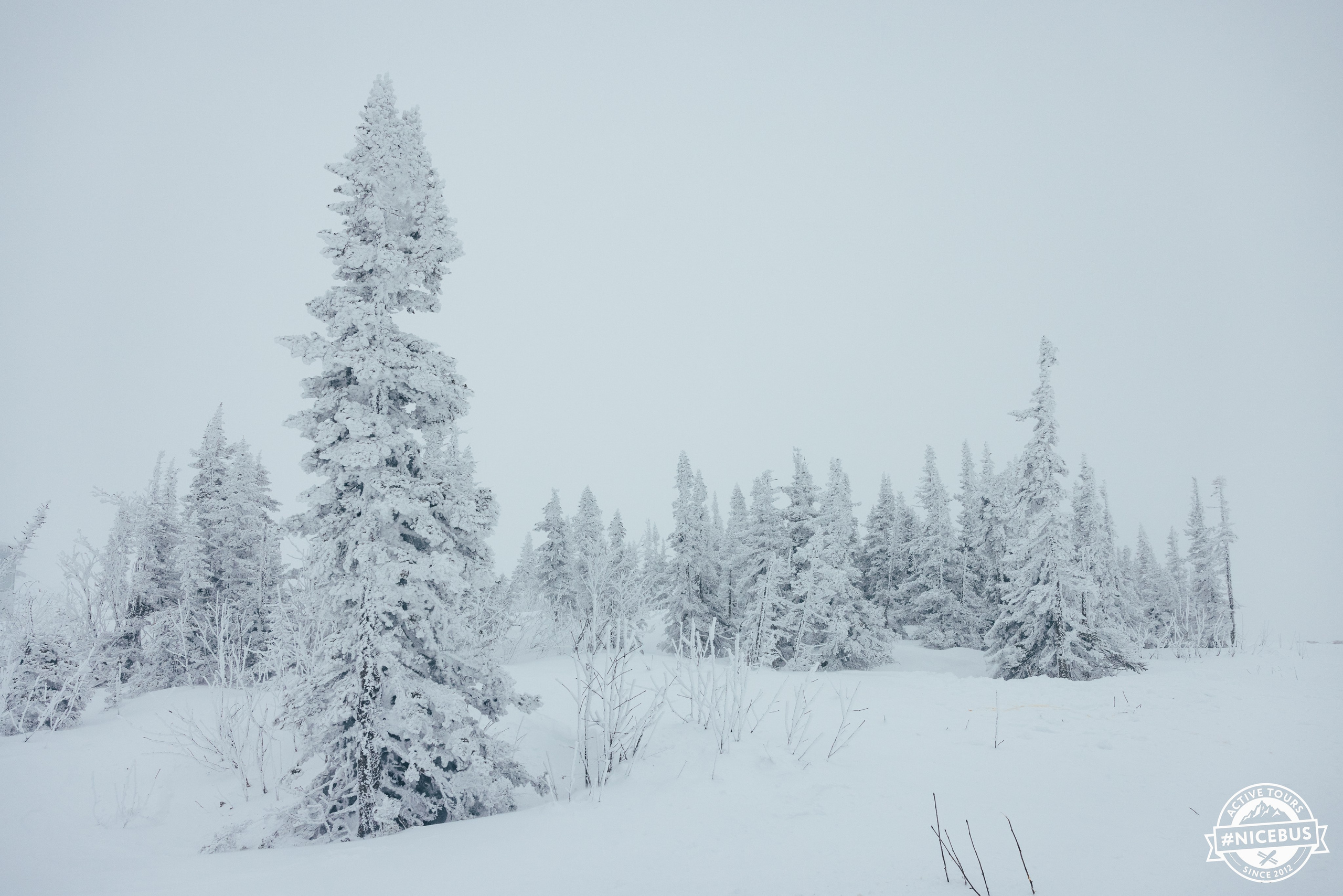 Шерегеш. Фотограф в Красноярске Евдокимова Анастасия