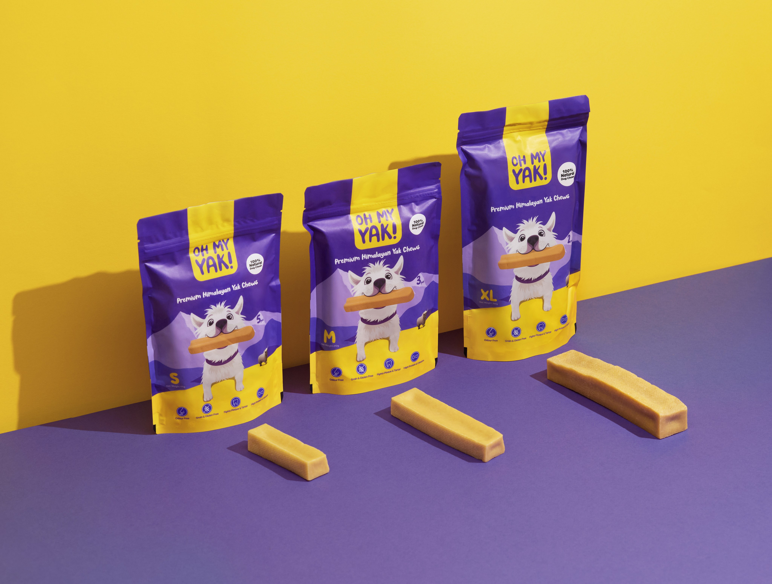 Advertising shooting with animals. Pets in advertising. Dog photographer Averianova Anna — Art photography of dogs