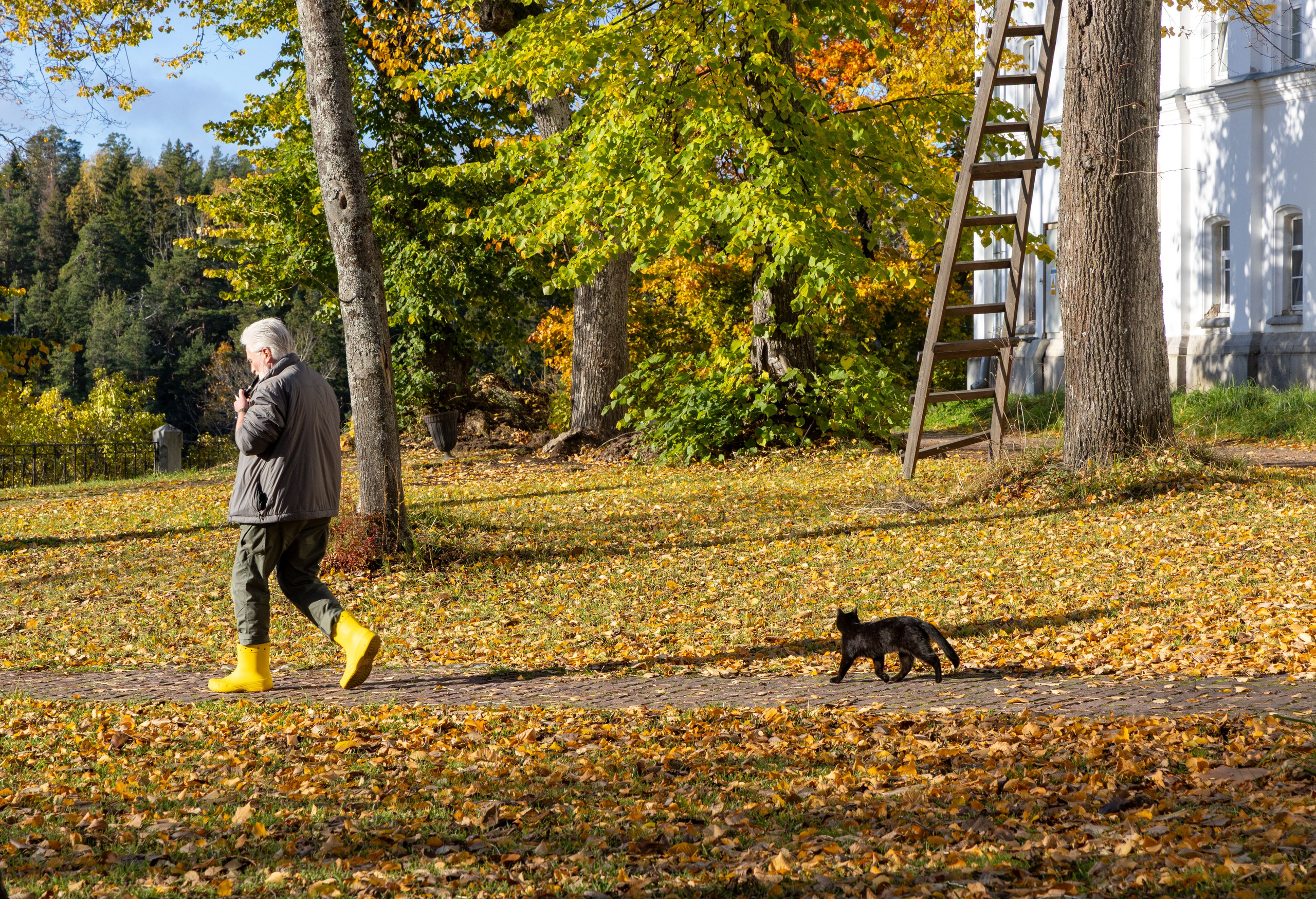 Природа Карелии октябрь 2025. Портретный и семейный фотограф Санкт-Петербург