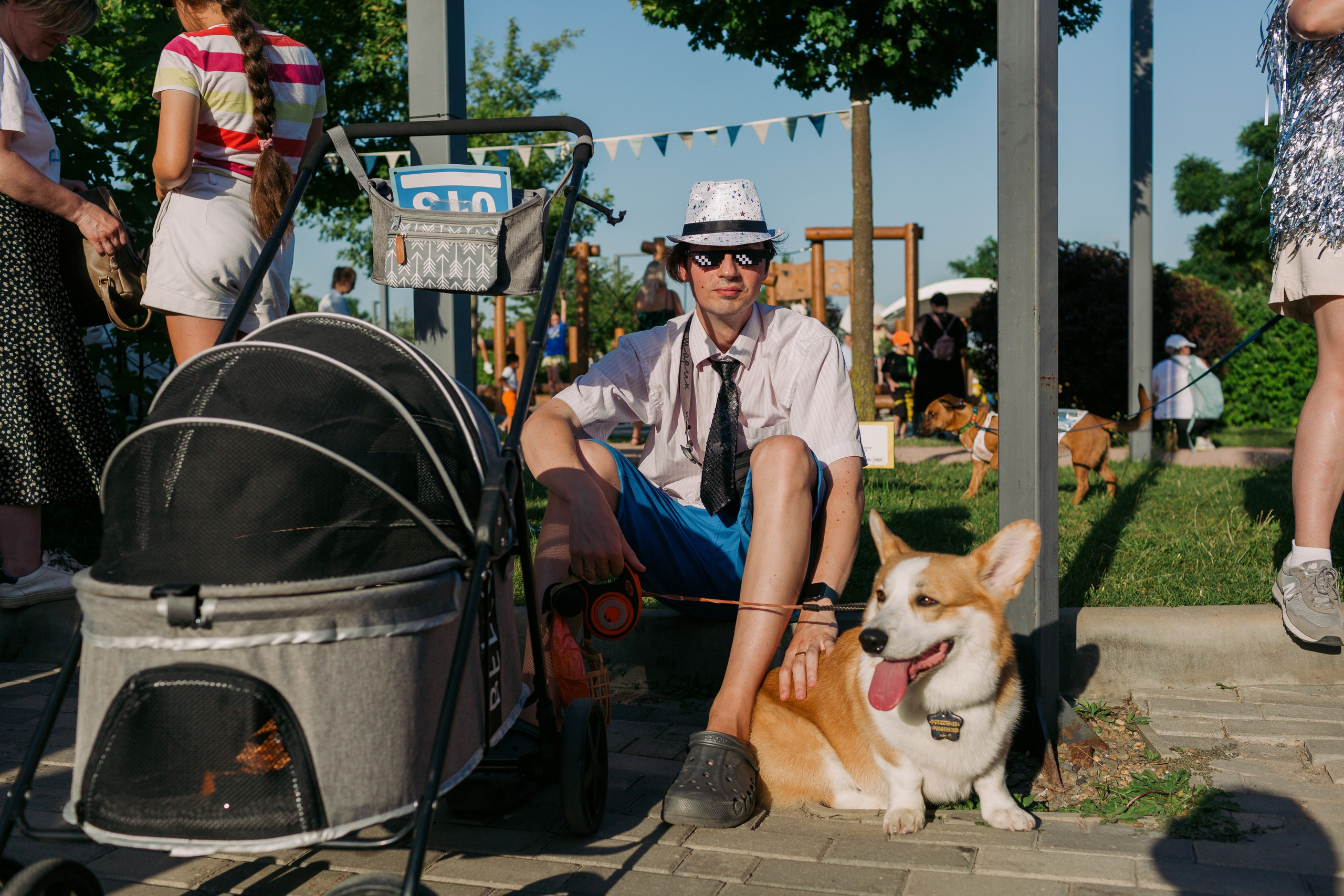 Dog Fest 2024. Главная