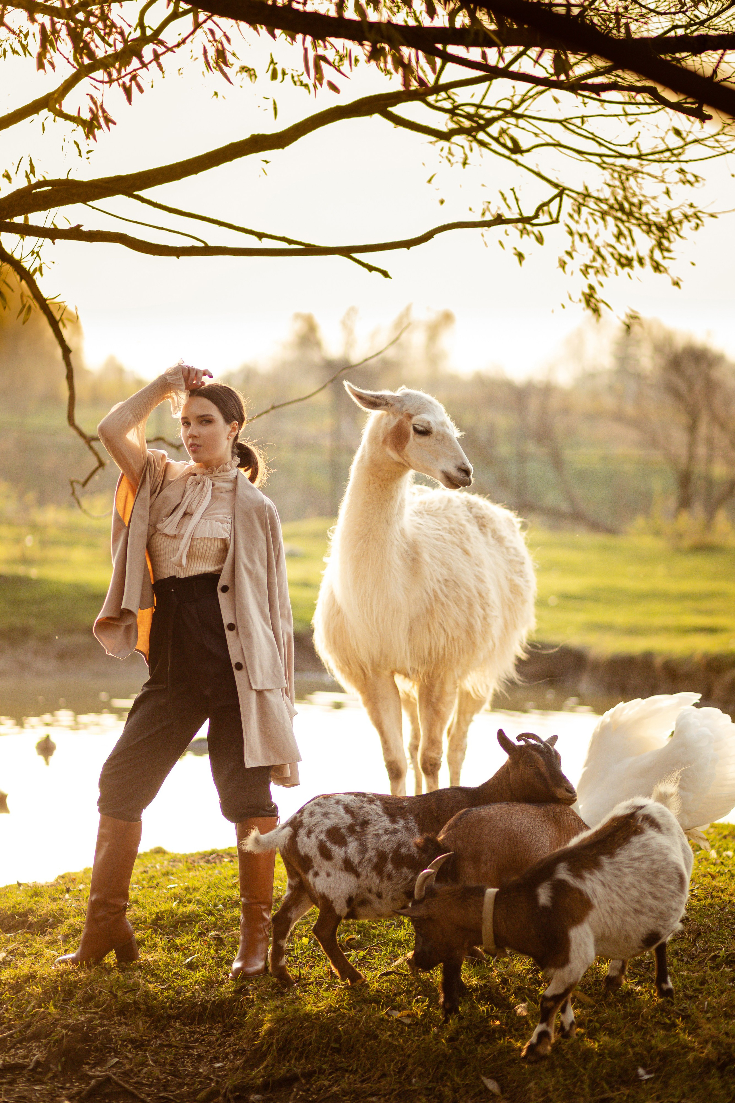 Девушка одетая в бриджи и длинную кофту стоит в компании ламы и козочек.
