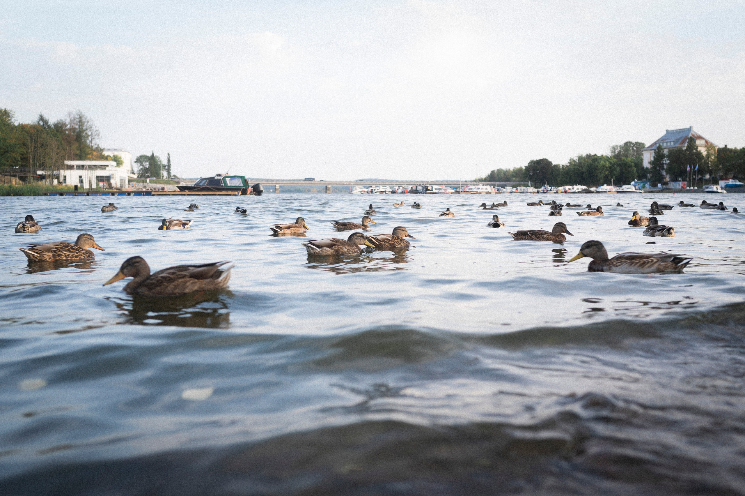 North 2024. Kartascheff