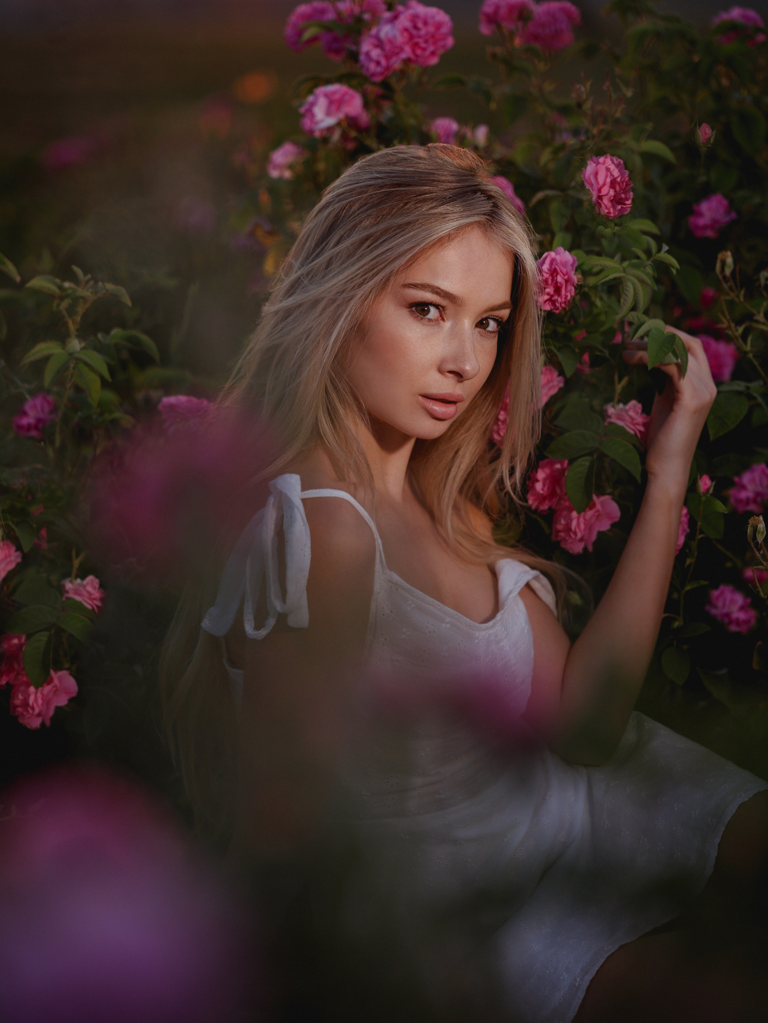 Розы. Студийный и уличный фотограф Анастасия Липовская